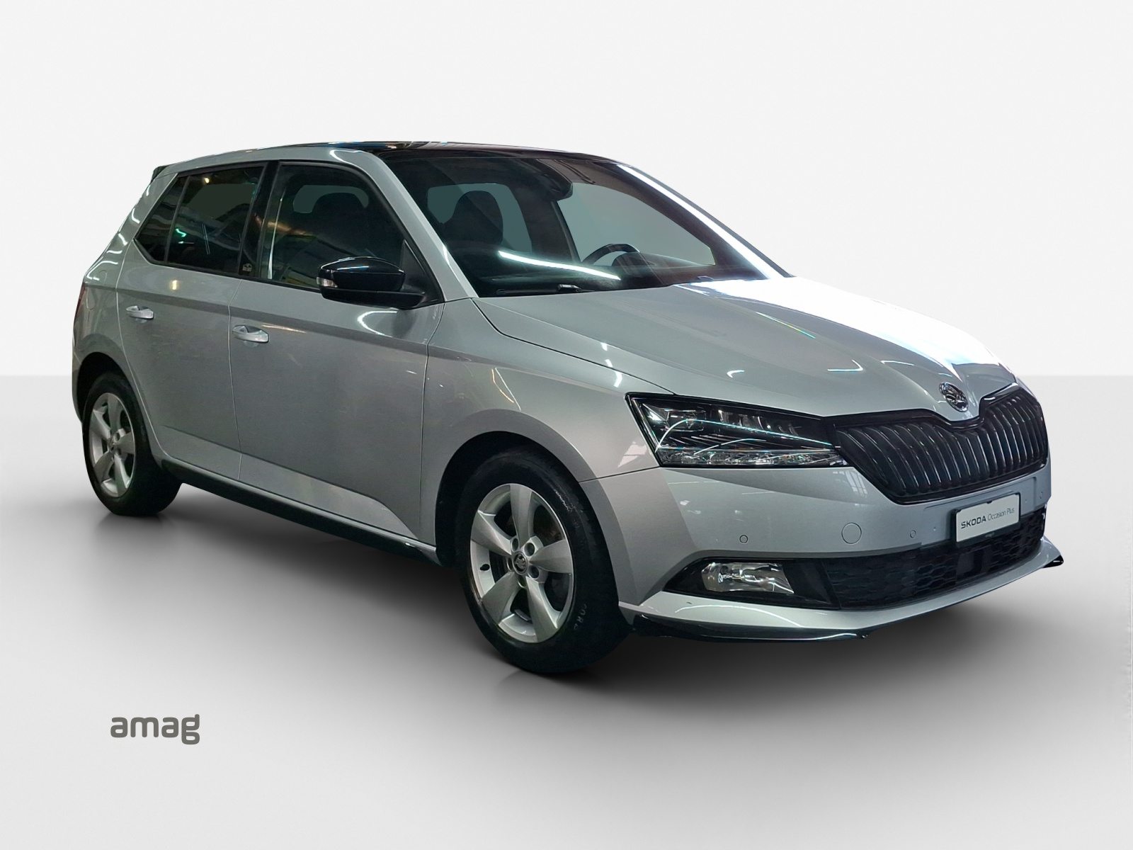 SKODA FABIA Limousine Monte Carlo, Benzina, Occasioni / Usate, Automatico - 6