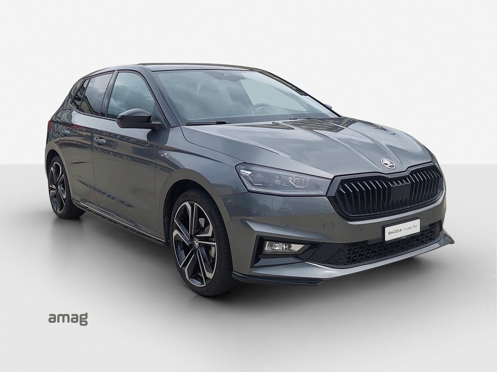 SKODA Fabia Monte Carlo, Benzina, Occasioni / Usate, Automatico - 6