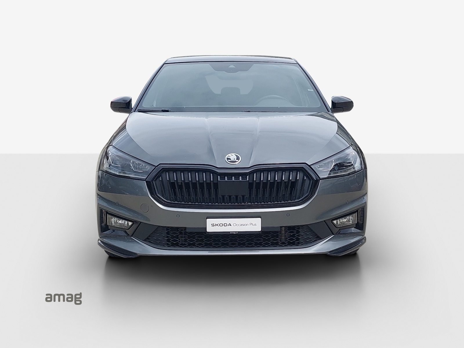 SKODA Fabia Monte Carlo, Benzina, Occasioni / Usate, Automatico - 7