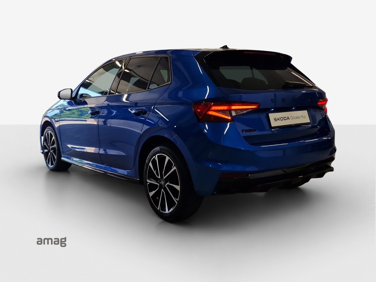 SKODA Fabia Monte Carlo, Benzina, Occasioni / Usate, Automatico - 3