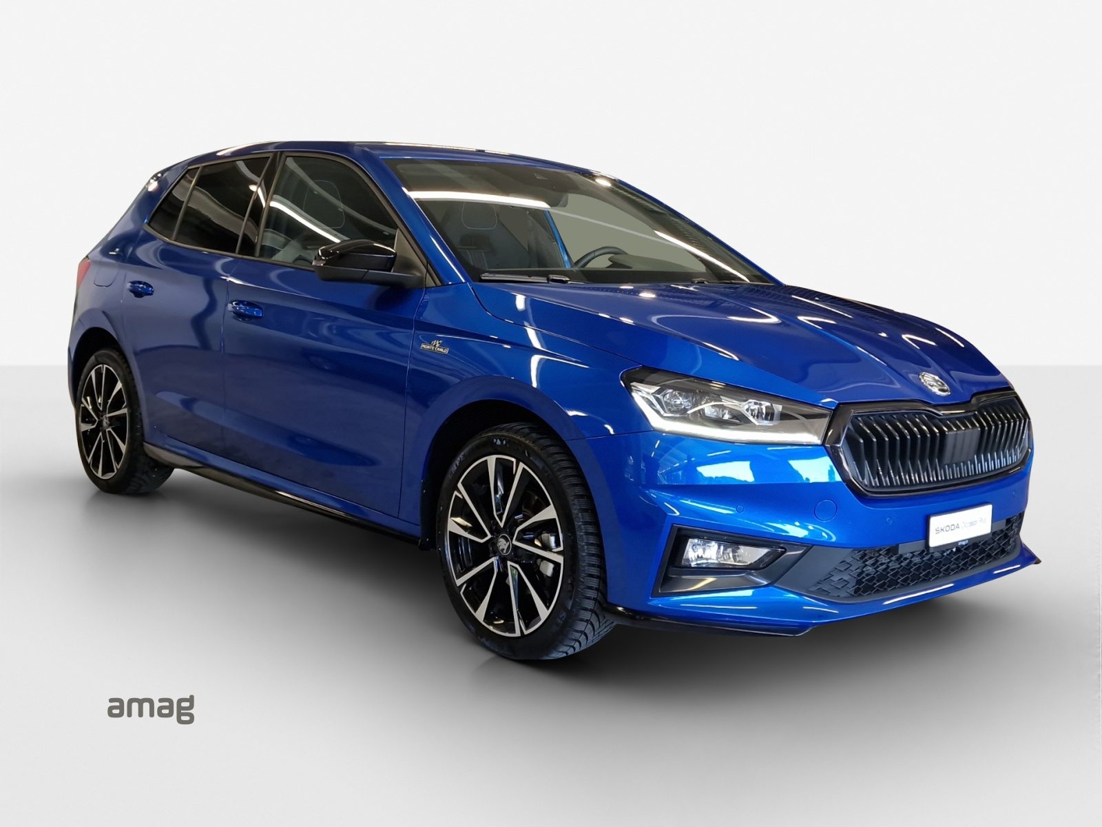 SKODA Fabia Monte Carlo, Benzina, Occasioni / Usate, Automatico - 7