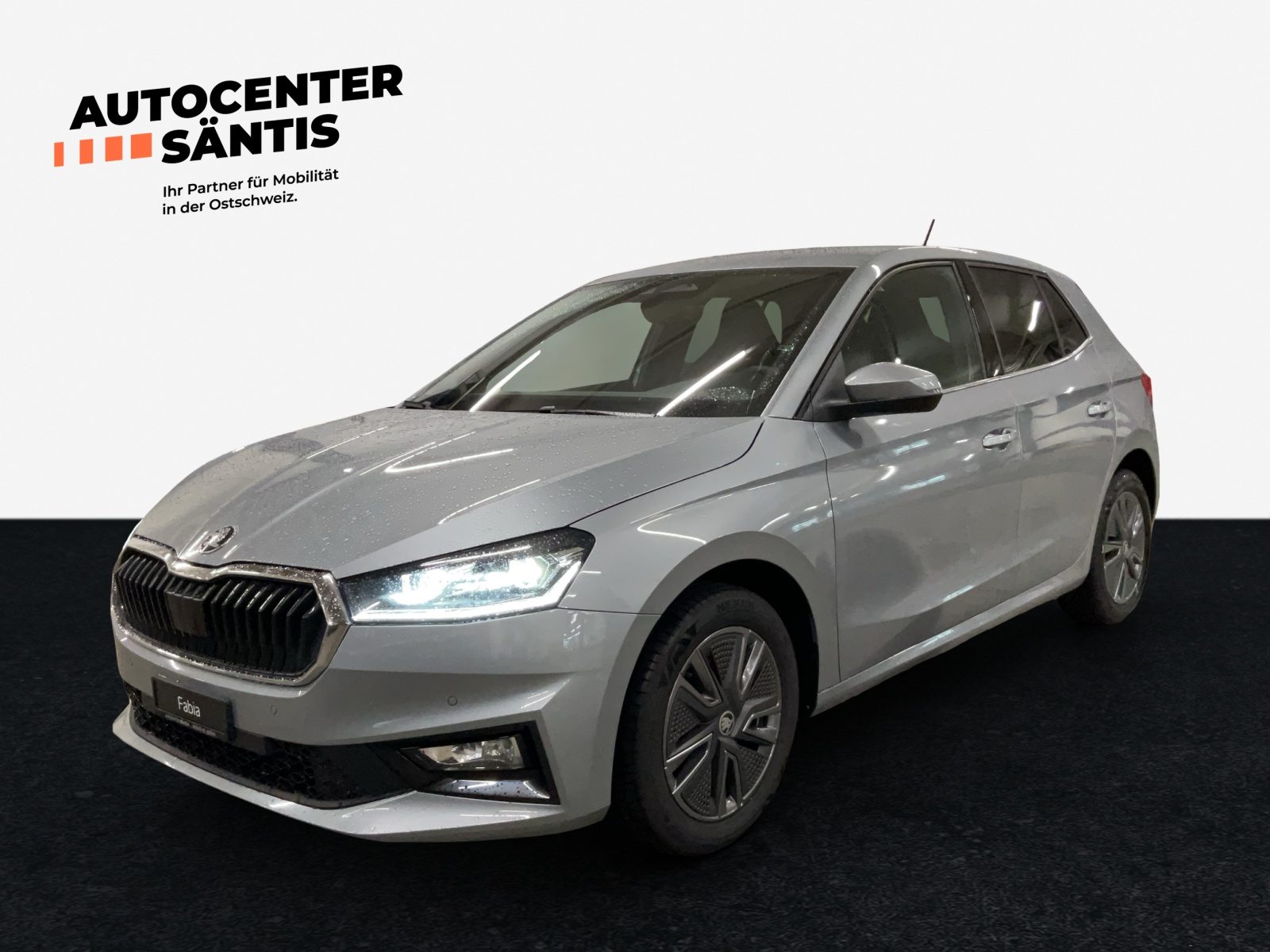 SKODA Fabia Dynamic (Netto)