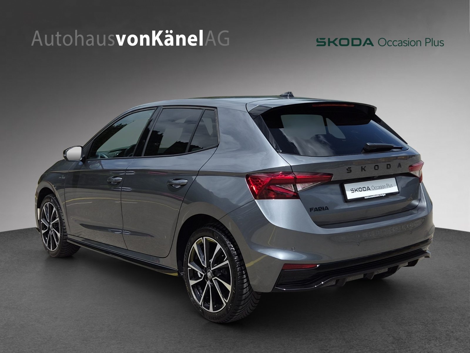 SKODA Fabia Monte Carlo, Benzina, Occasioni / Usate, Automatico - 3