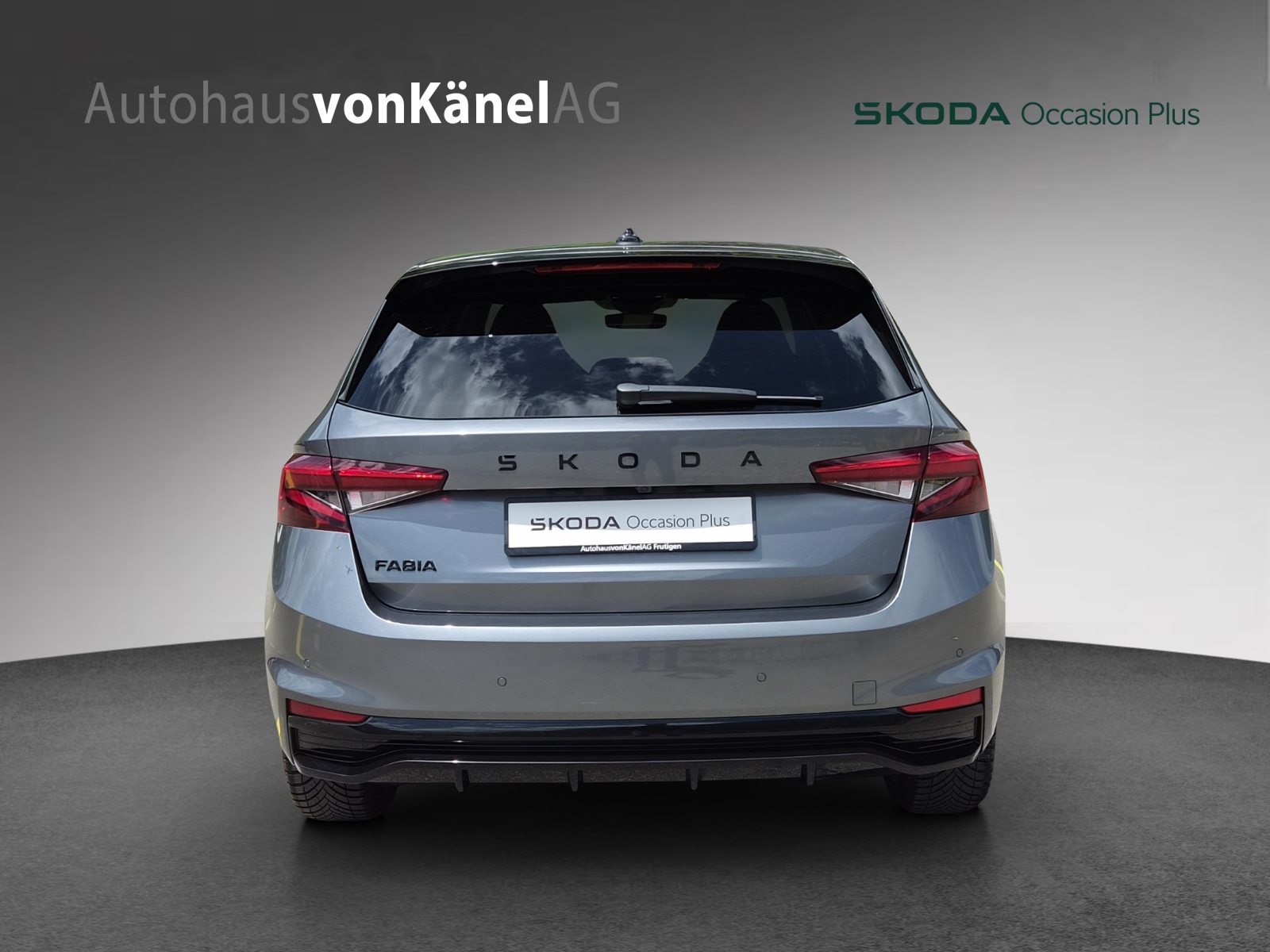 SKODA Fabia Monte Carlo, Benzina, Occasioni / Usate, Automatico - 5