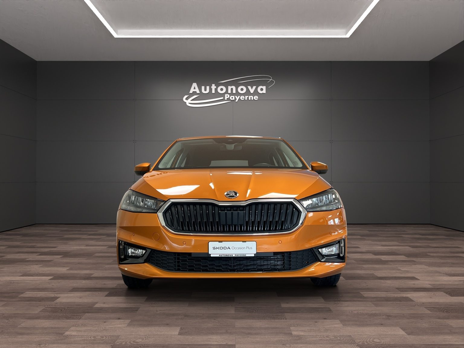 SKODA Fabia Ambition, Benzina, Occasioni / Usate, Manuale - 2
