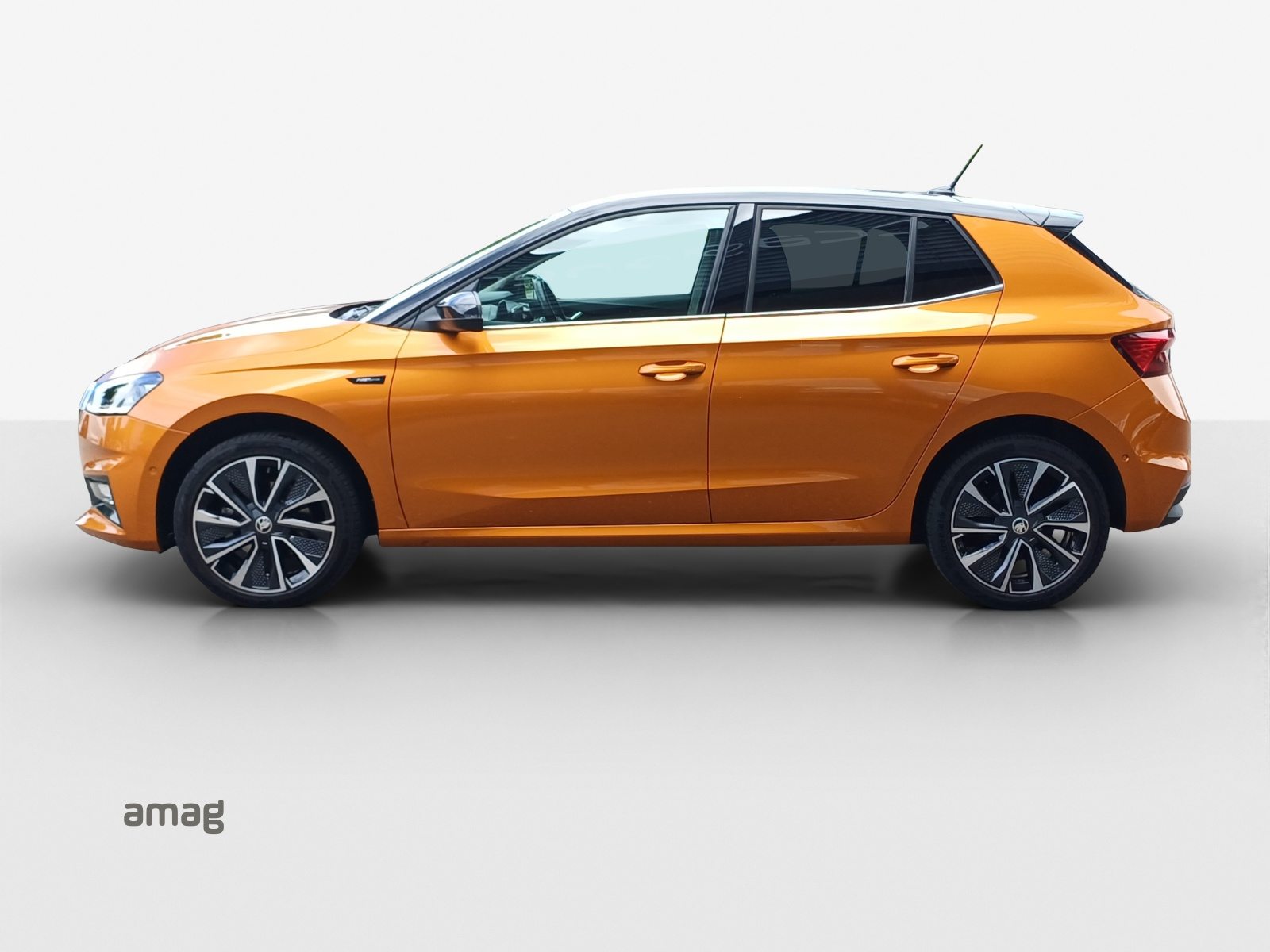 SKODA FABIA First Edition, Benzina, Occasioni / Usate, Automatico - 2