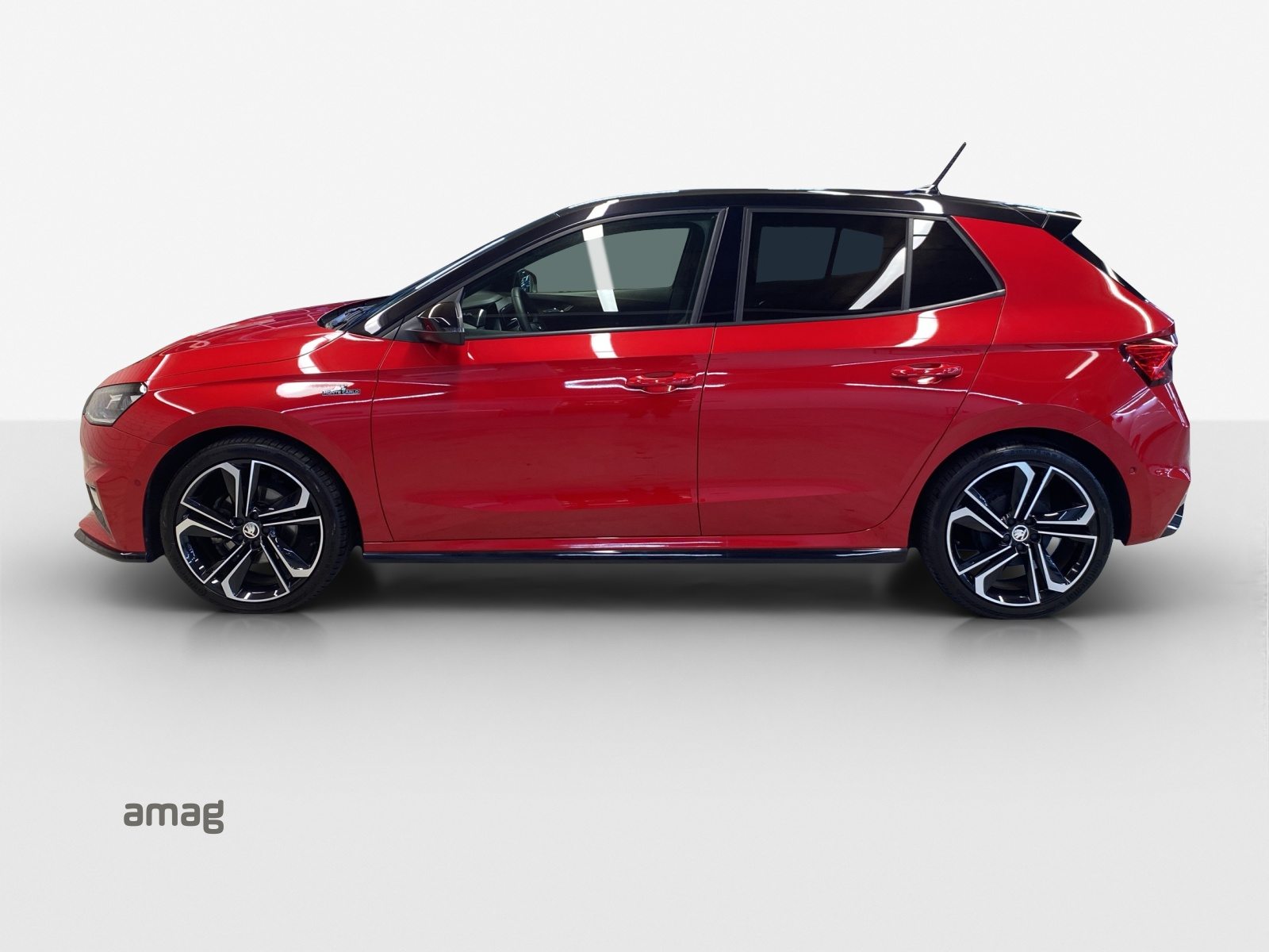 SKODA Fabia Monte Carlo, Benzina, Occasioni / Usate, Manuale - 2