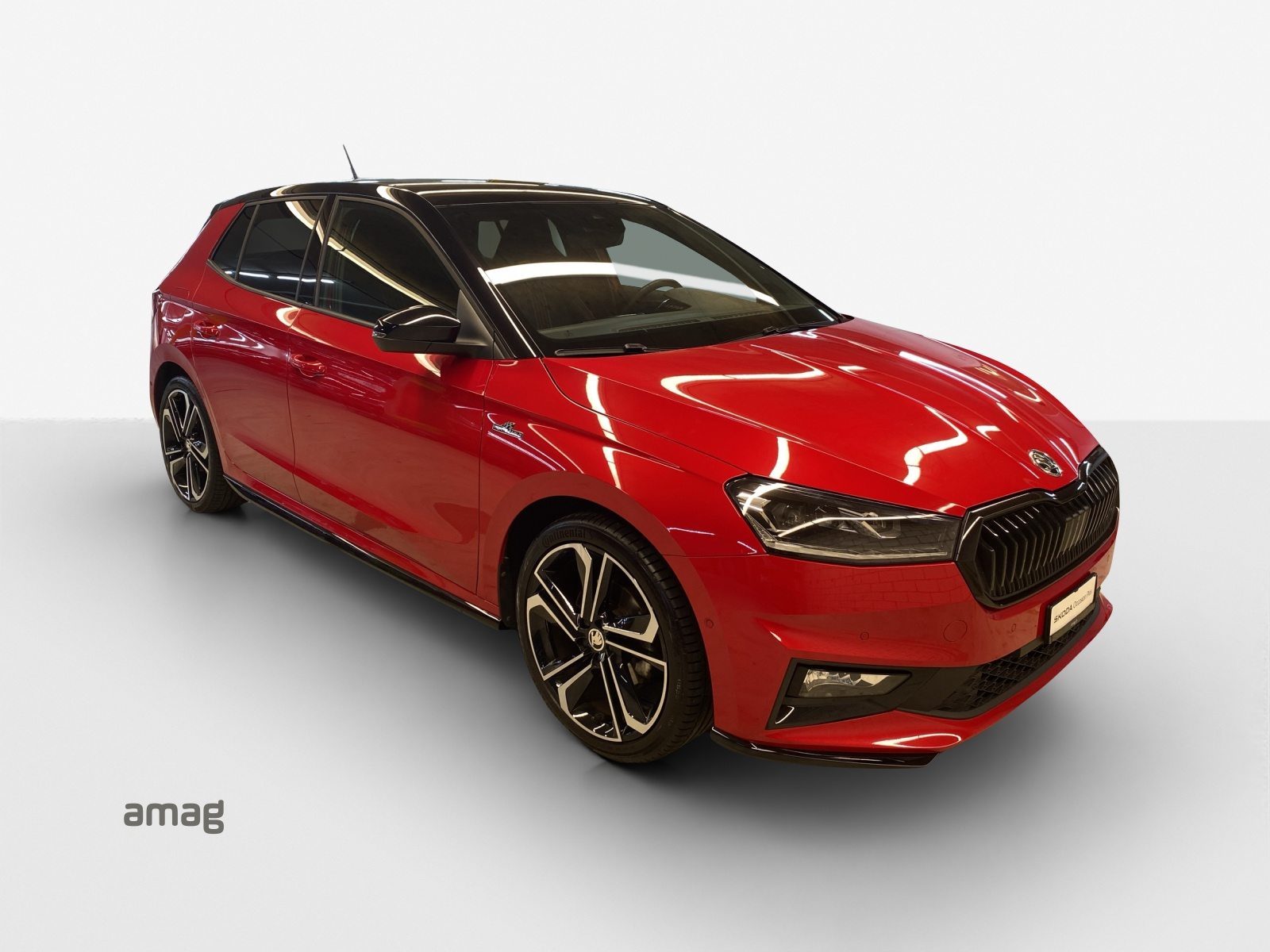 SKODA Fabia Monte Carlo, Benzina, Occasioni / Usate, Manuale - 6