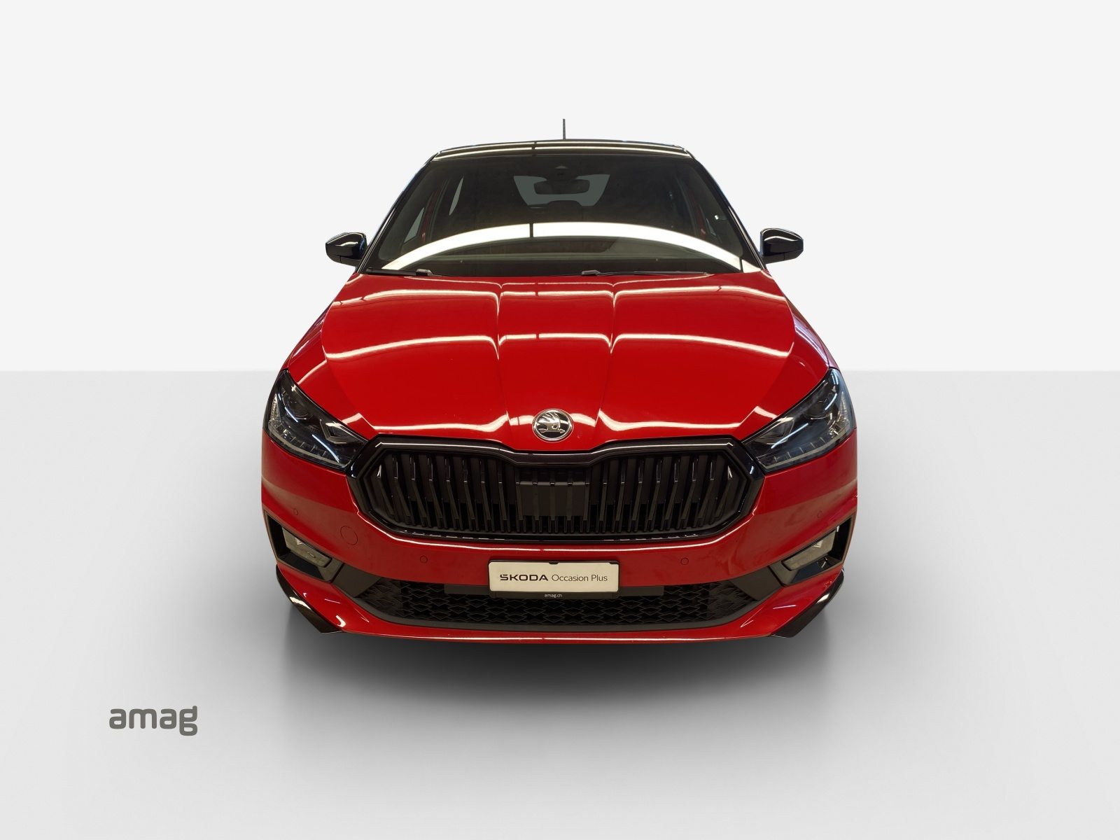 SKODA Fabia Monte Carlo, Benzina, Occasioni / Usate, Manuale - 7