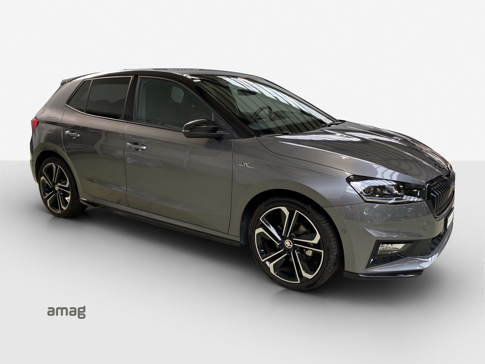 SKODA Fabia Monte Carlo, Essence, Occasion / Utilisé, Automatique - 6
