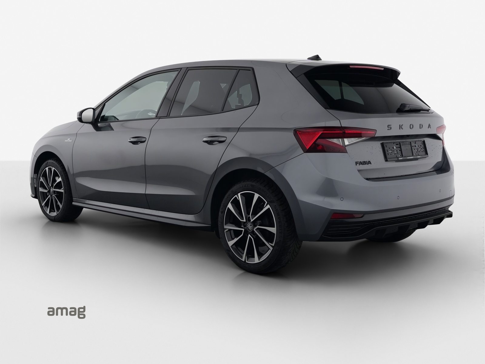 SKODA Fabia Monte Carlo, Benzina, Occasioni / Usate, Automatico - 3