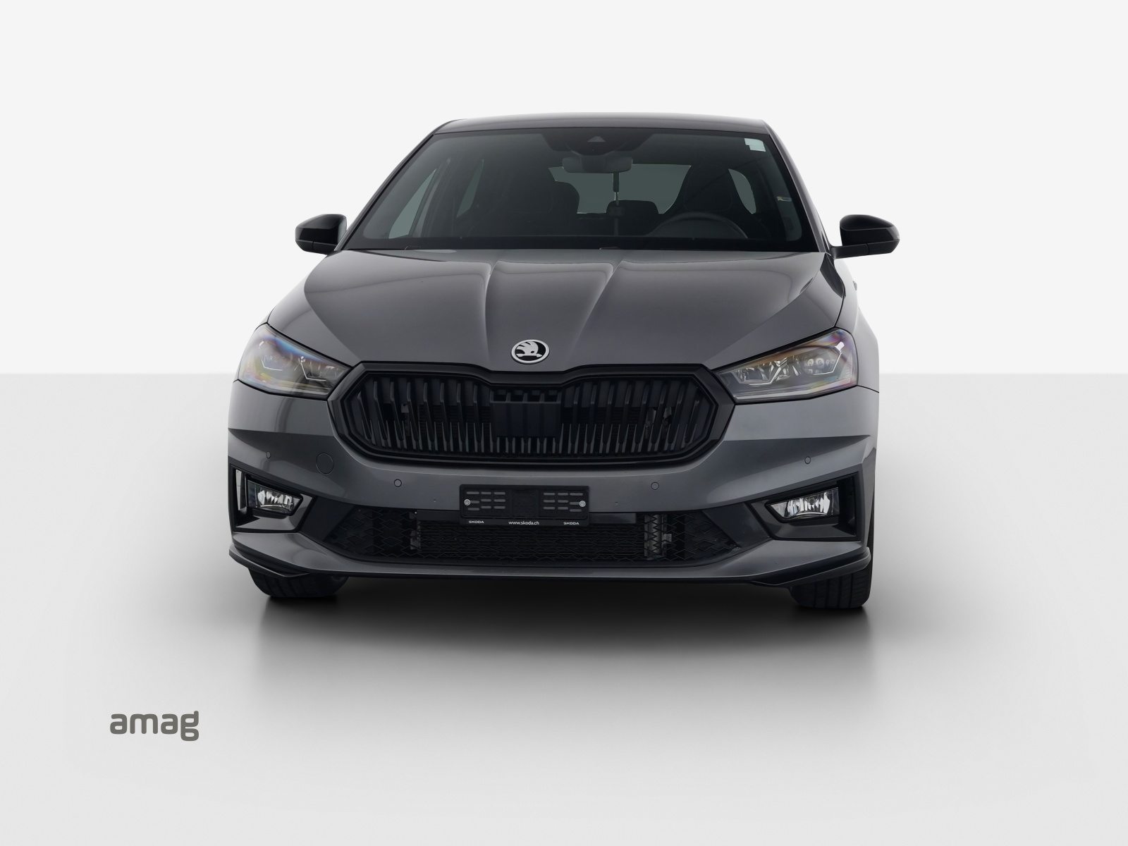 SKODA Fabia Monte Carlo, Benzina, Occasioni / Usate, Automatico - 5