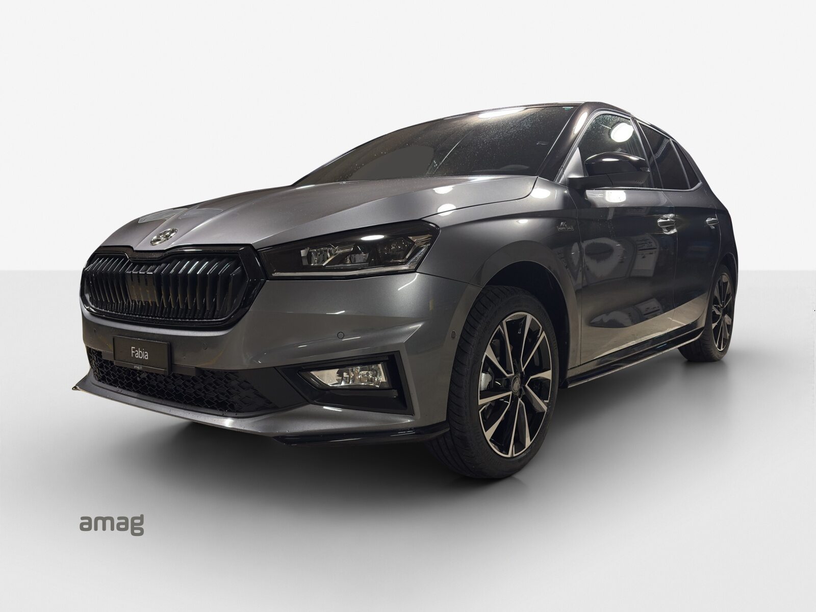 SKODA Fabia Monte Carlo