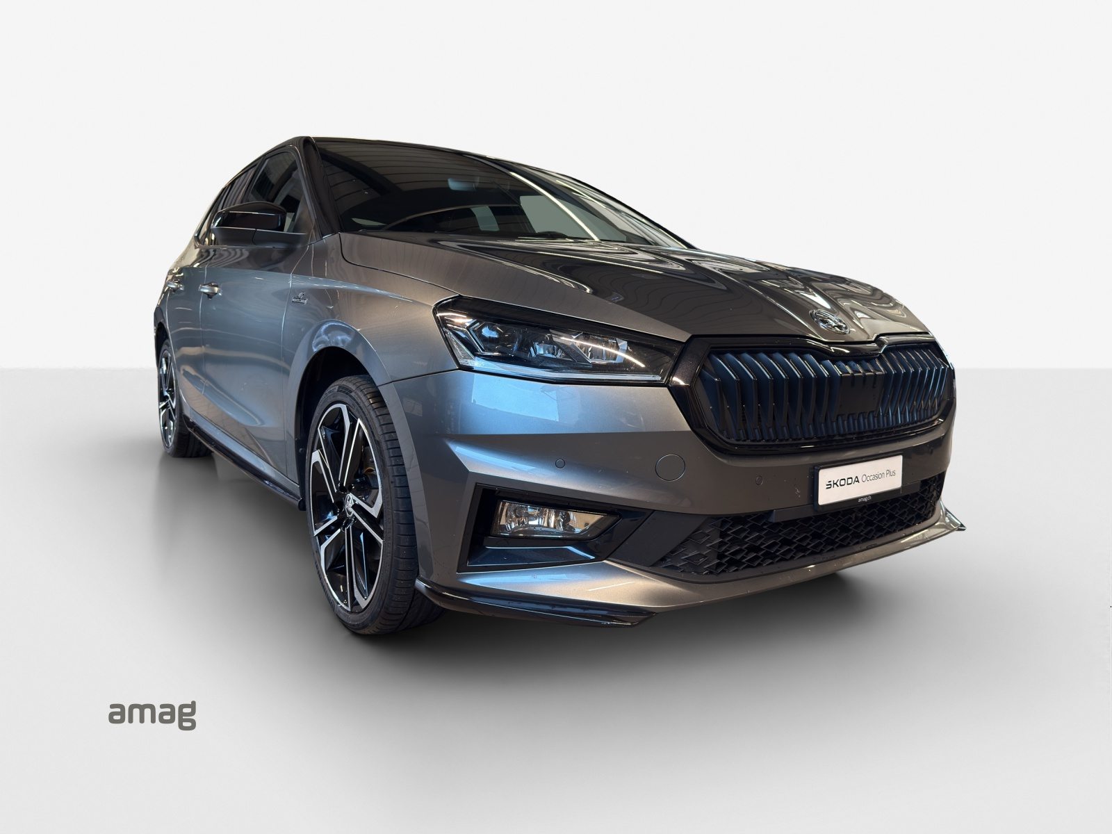 SKODA Fab. 1.5 TSI Monte C. DSG, Benzin, Occasion / Gebraucht, Automatik - 6