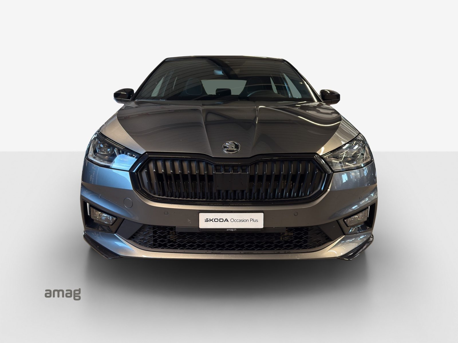 SKODA Fab. 1.5 TSI Monte C. DSG, Benzin, Occasion / Gebraucht, Automatik - 7