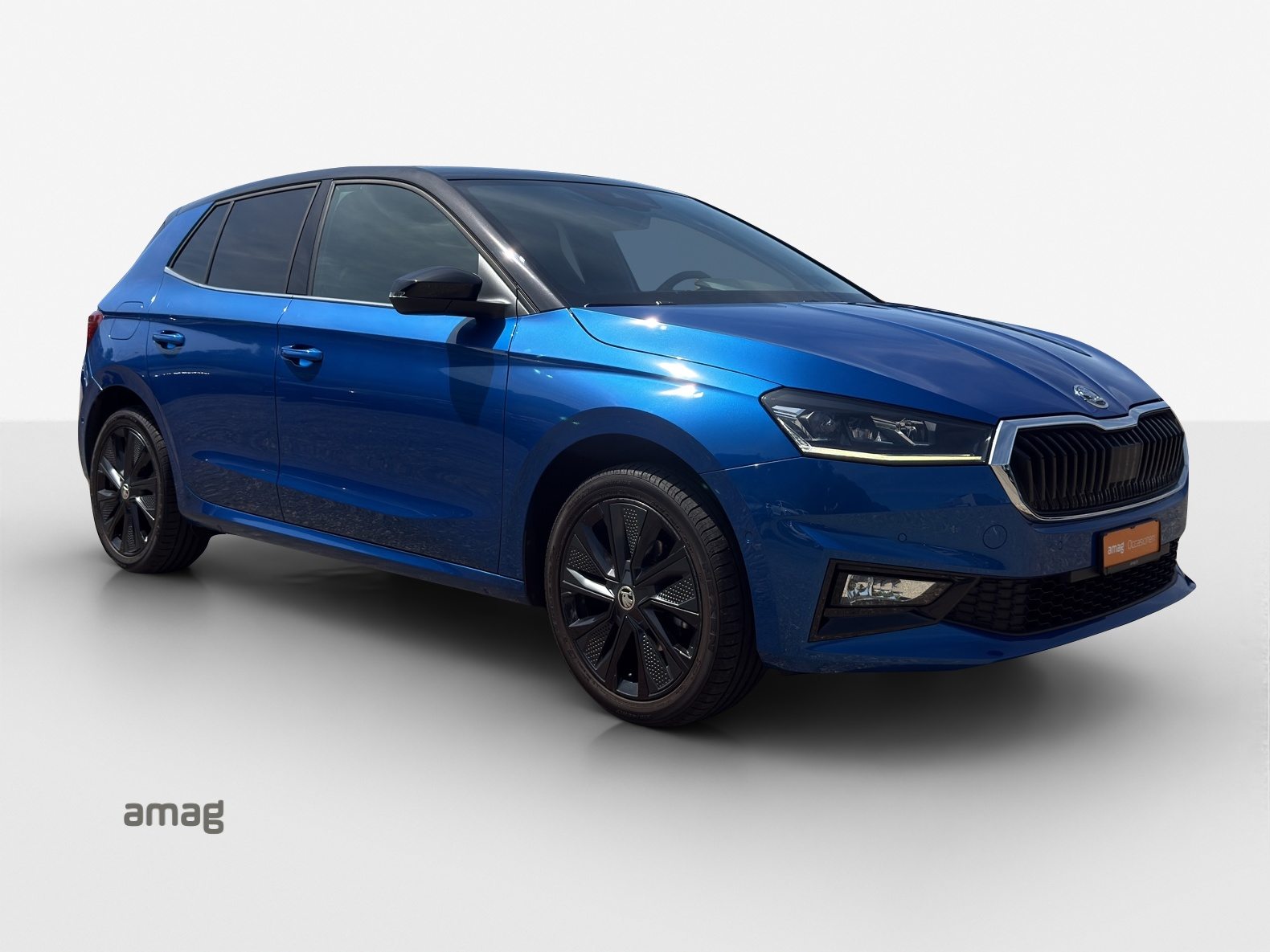 SKODA FABIA Style, Benzina, Occasioni / Usate, Automatico - 6