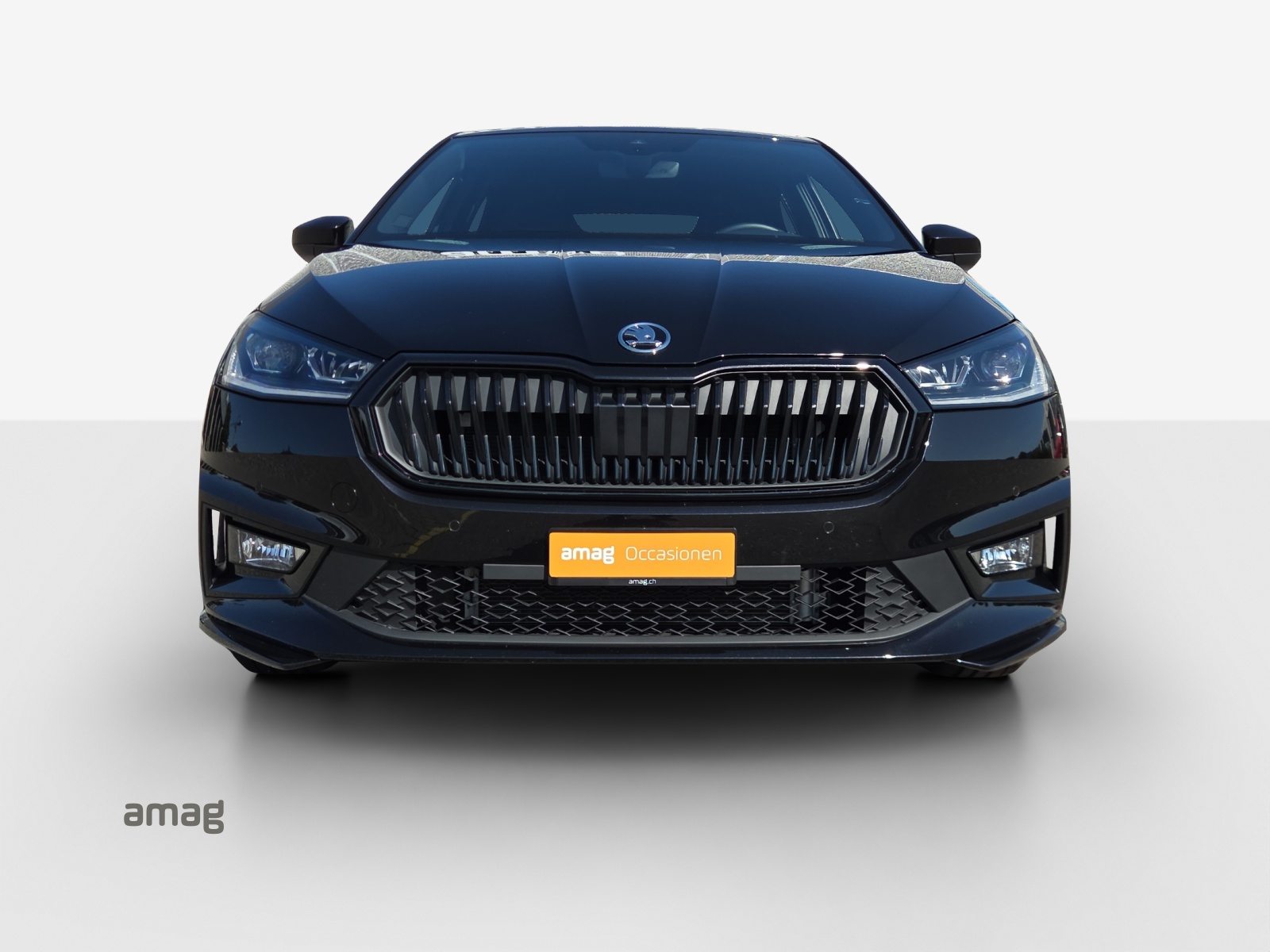 SKODA Fabia Monte Carlo, Benzina, Occasioni / Usate, Automatico - 7