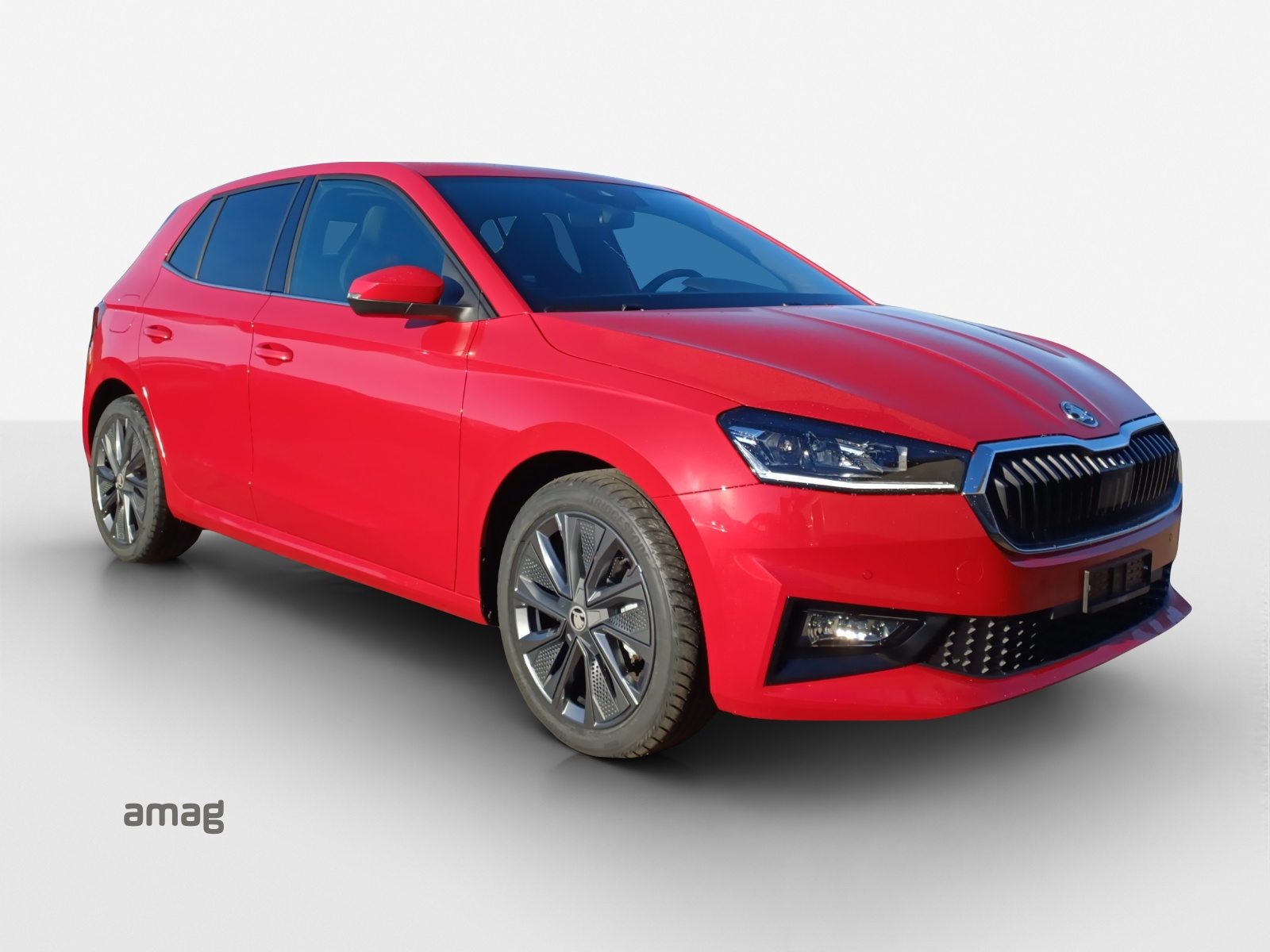 SKODA Fabia Dynamic (Netto), Essence, Occasion / Utilisé, Automatique - 6