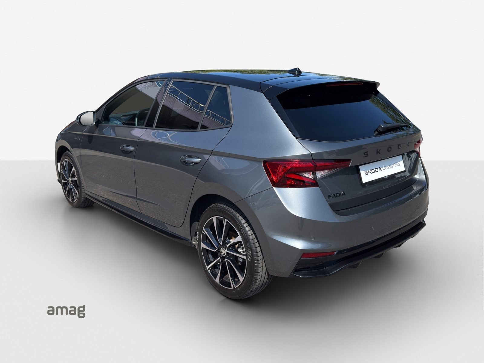 SKODA Fabia Monte Carlo, Benzina, Occasioni / Usate, Automatico - 3