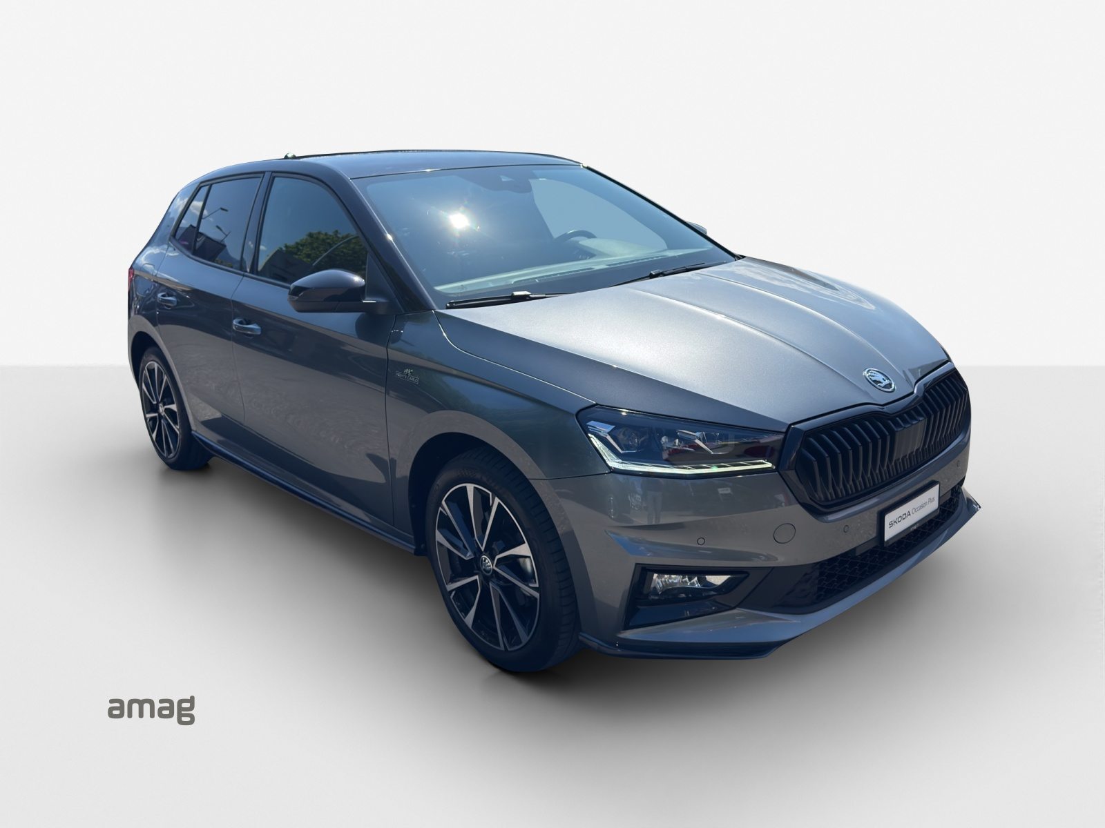 SKODA Fabia Monte Carlo, Benzina, Occasioni / Usate, Automatico - 6