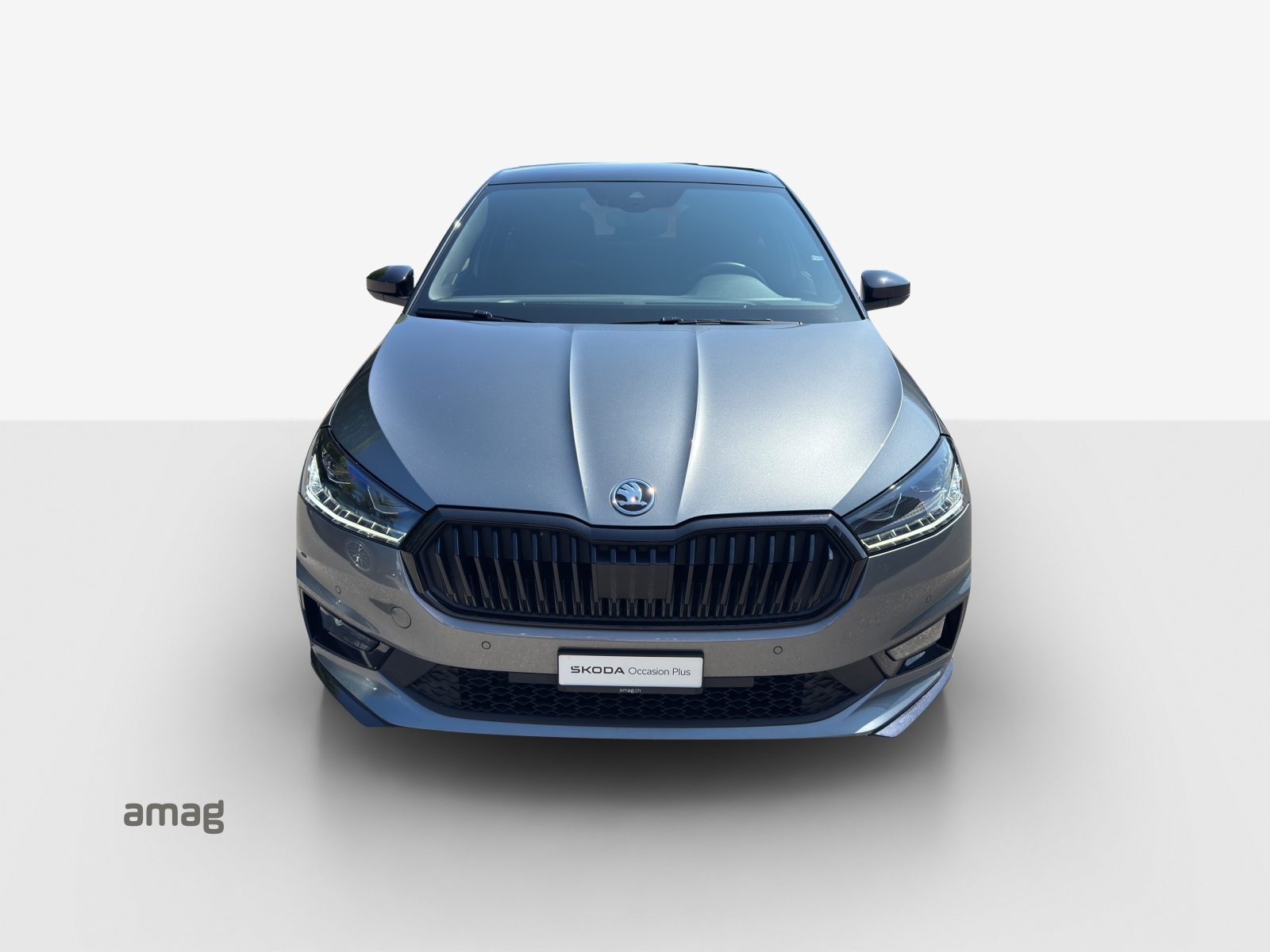 SKODA Fabia Monte Carlo, Benzina, Occasioni / Usate, Automatico - 7