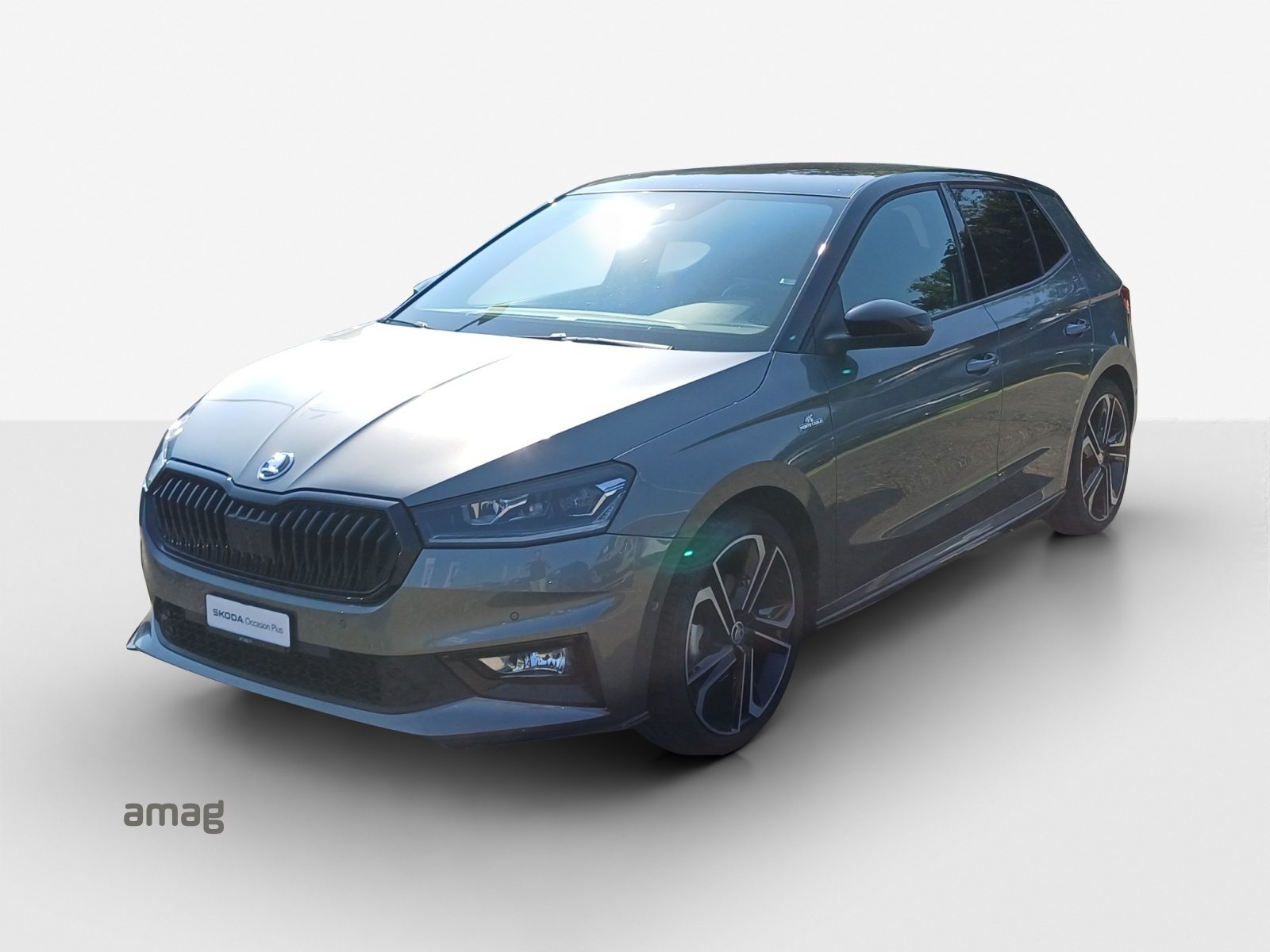 SKODA Fabia Monte Carlo