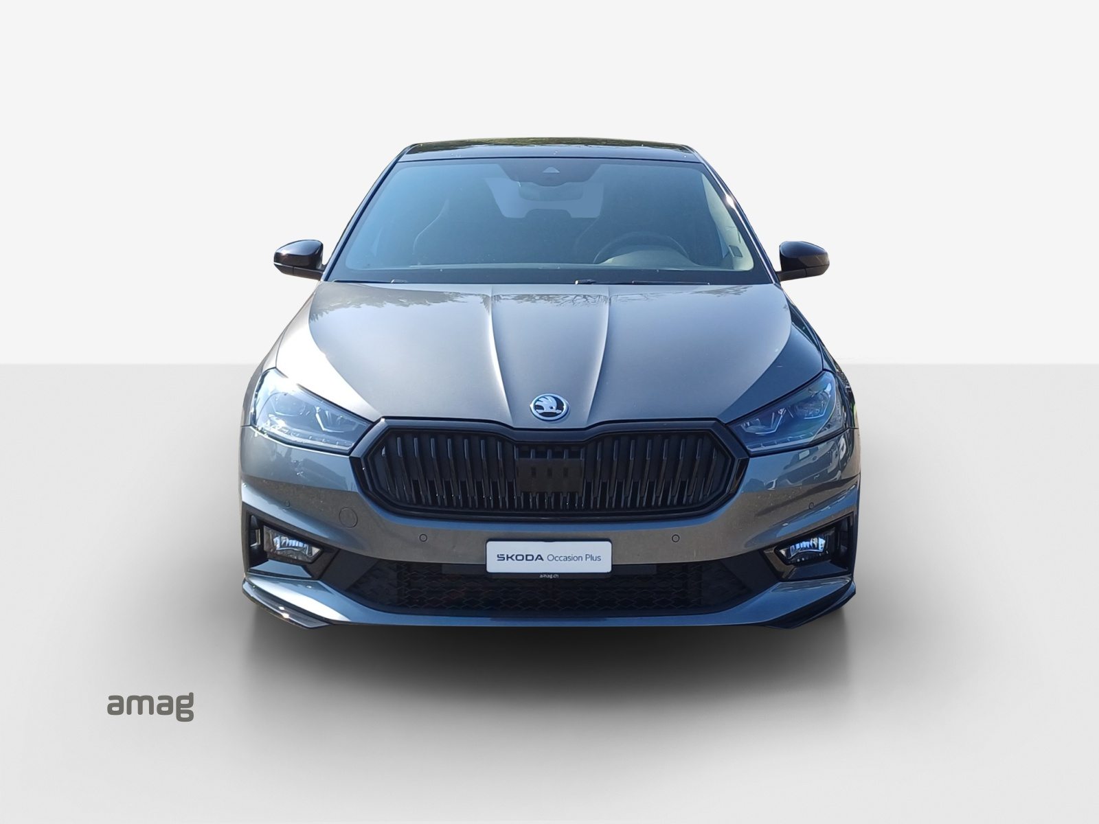 SKODA Fabia Monte Carlo, Essence, Occasion / Utilisé, Manuelle - 7