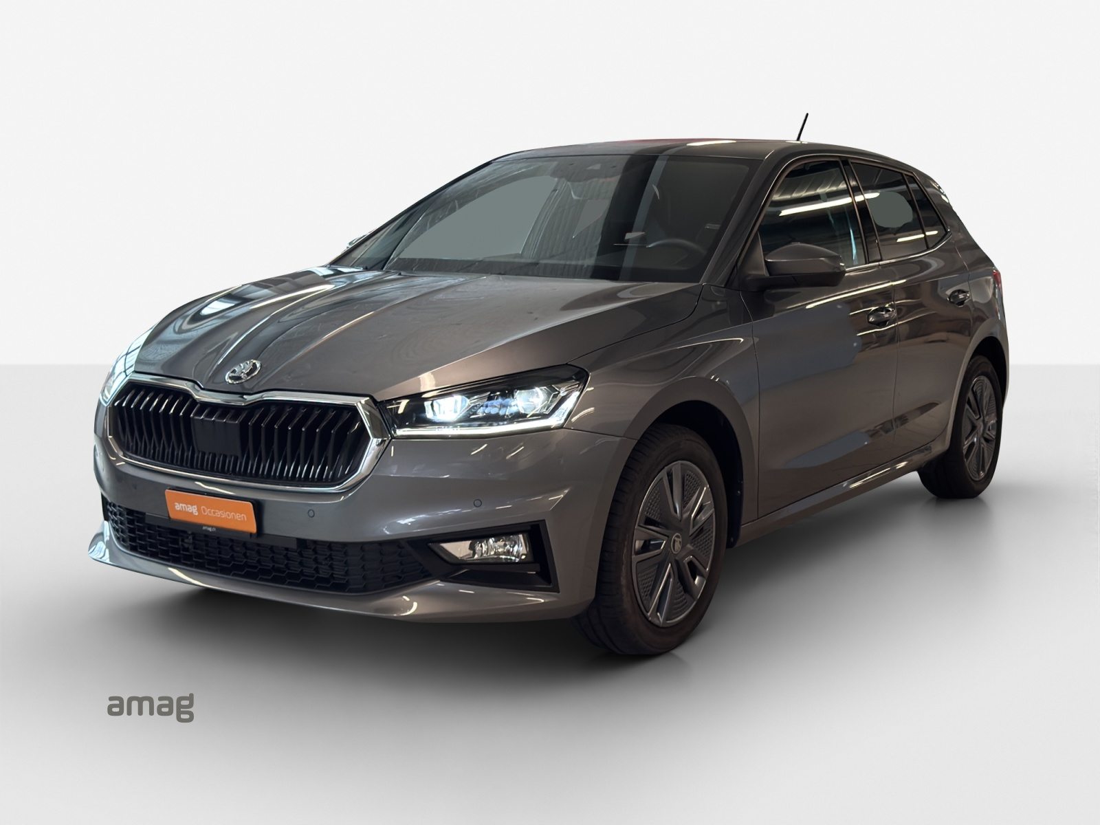 SKODA Fabia Dynamic (Netto)