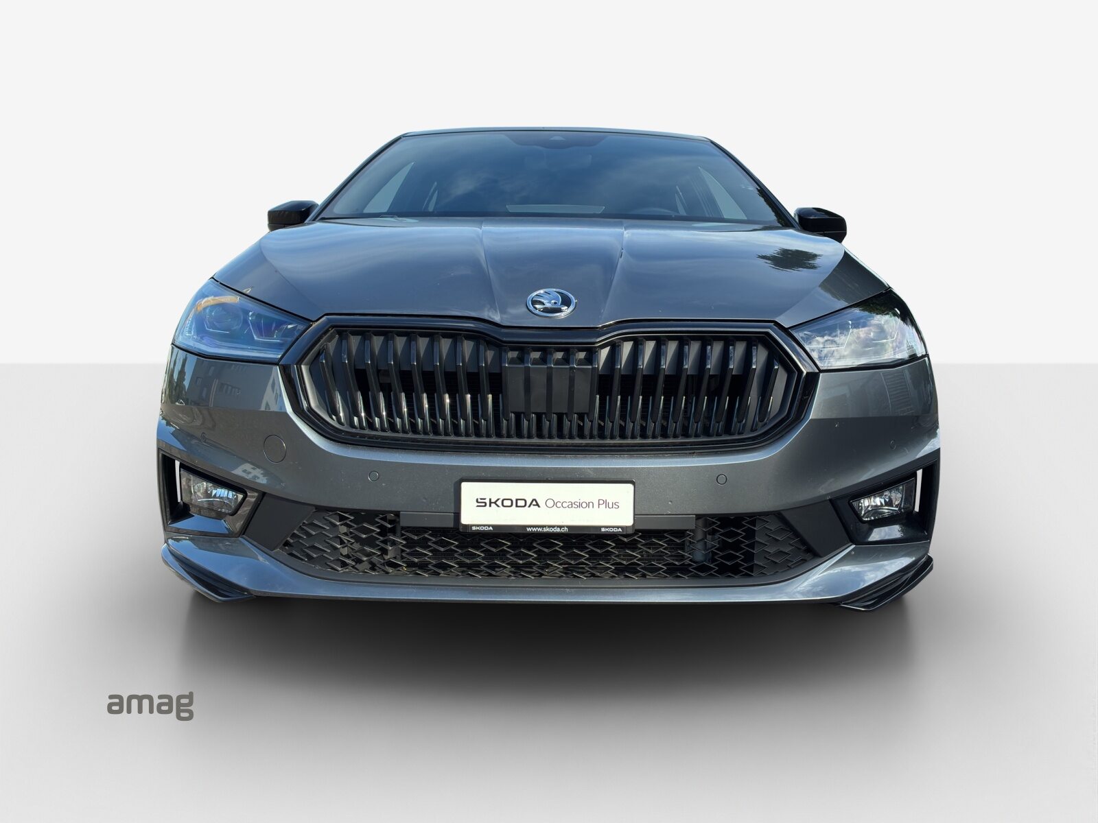 SKODA Fabia Monte Carlo, Benzina, Occasioni / Usate, Automatico - 2