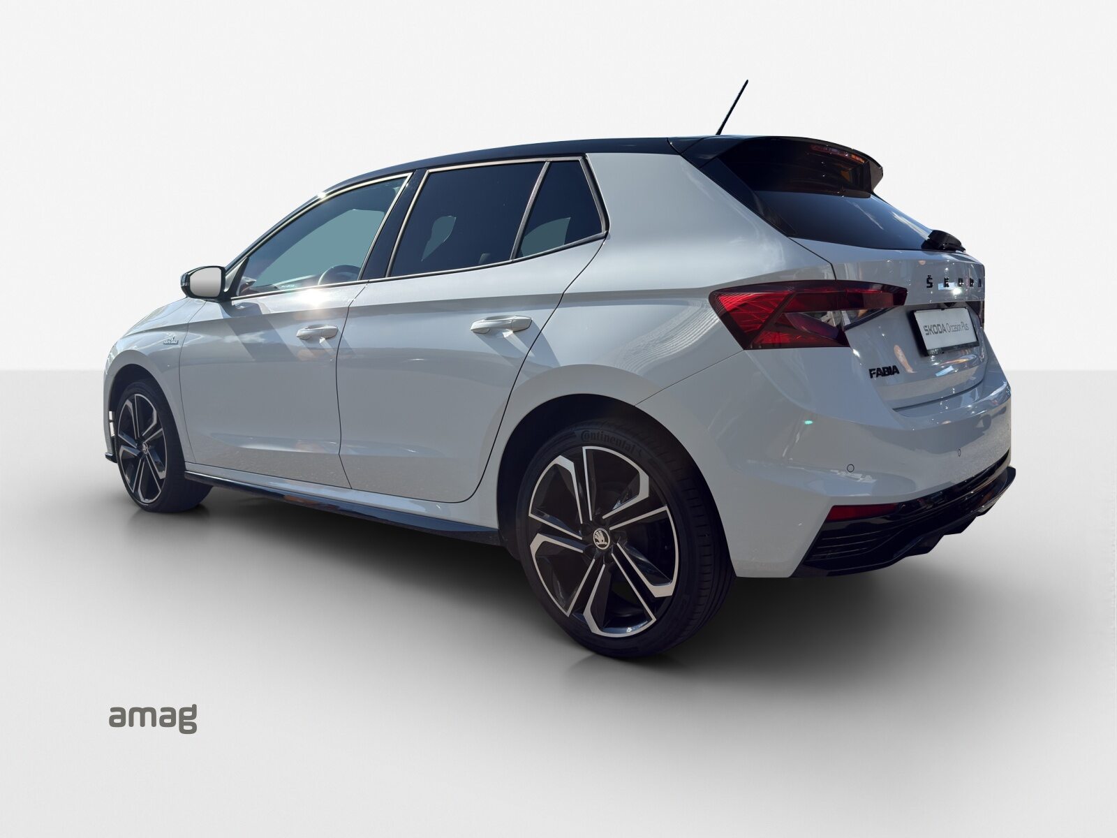 SKODA Fabia Monte Carlo, Benzina, Occasioni / Usate, Manuale - 3