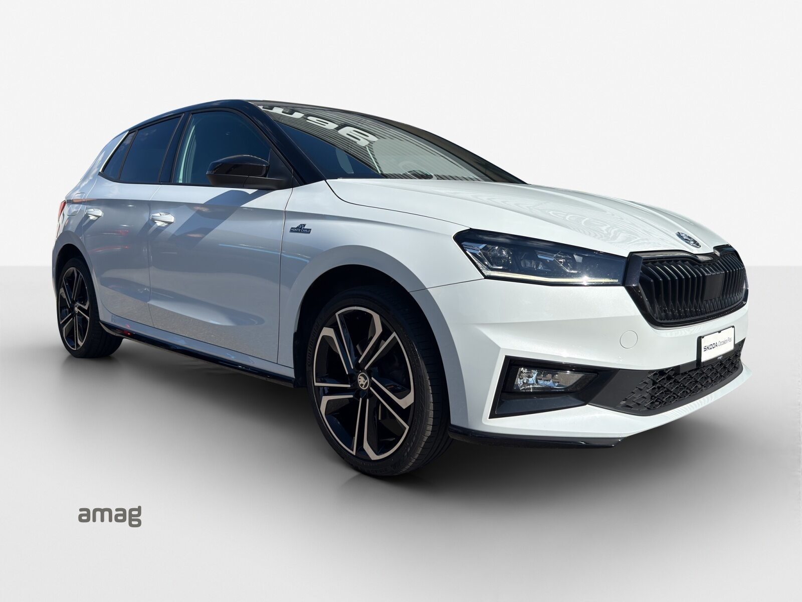 SKODA Fabia Monte Carlo, Benzina, Occasioni / Usate, Manuale - 6