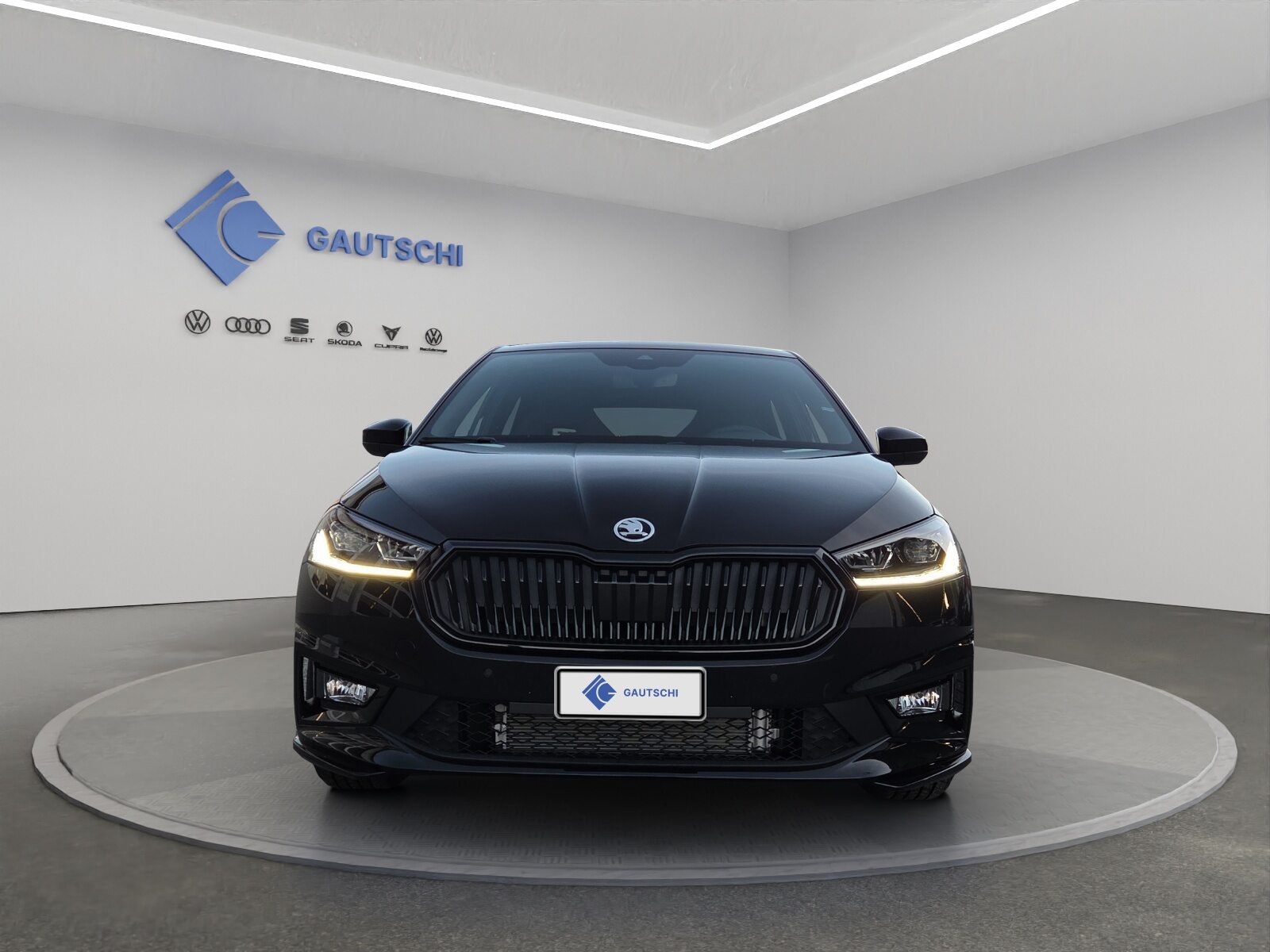 SKODA Fabia Monte Carlo, Benzina, Occasioni / Usate, Automatico - 5