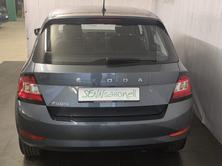 SKODA FABIA Limousine «Drive 125» (NETTO), Essence, Occasion / Utilisé, Automatique - 5