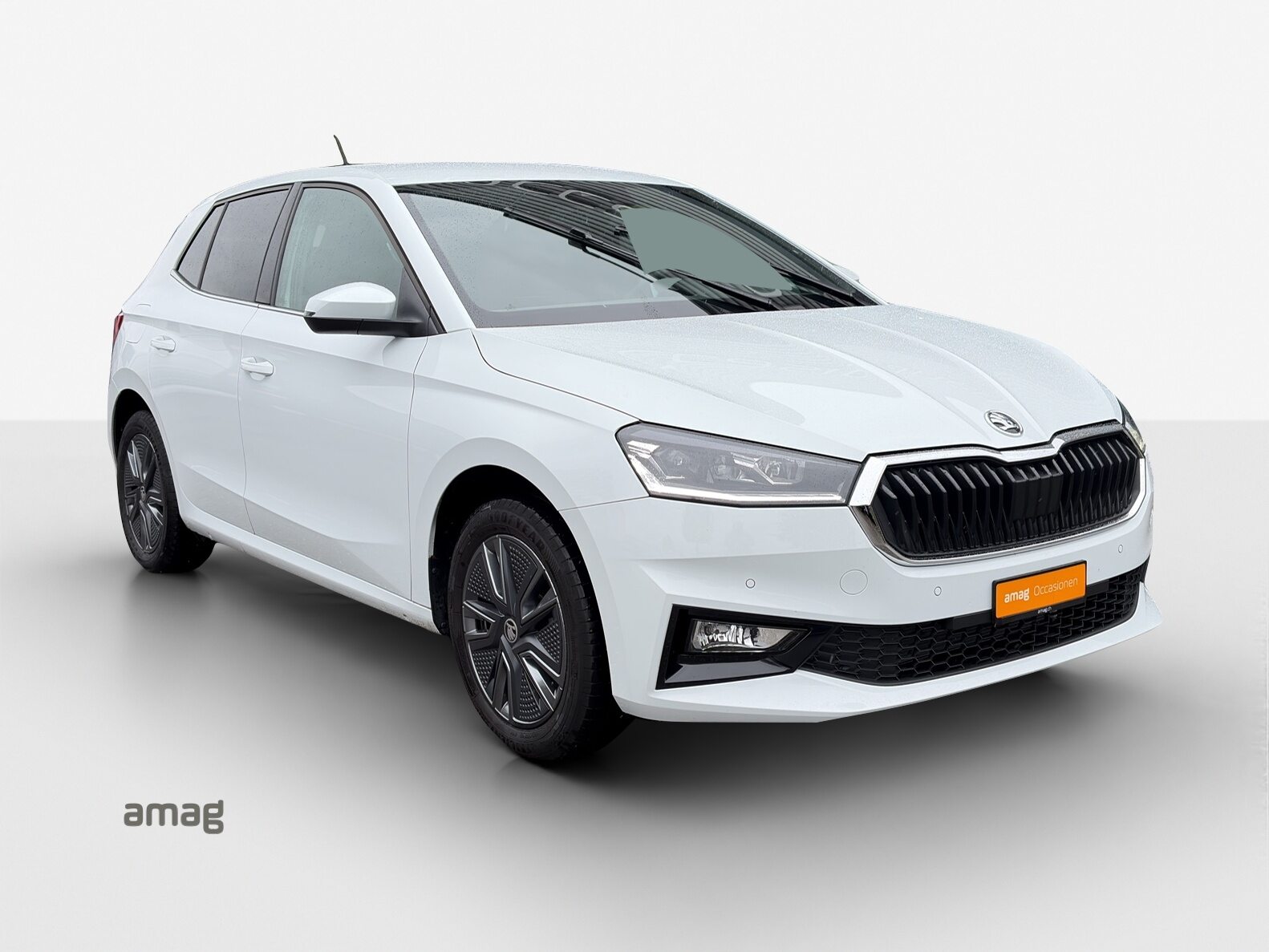 SKODA Fabia Dynamic (Netto), Benzina, Occasioni / Usate, Automatico - 6