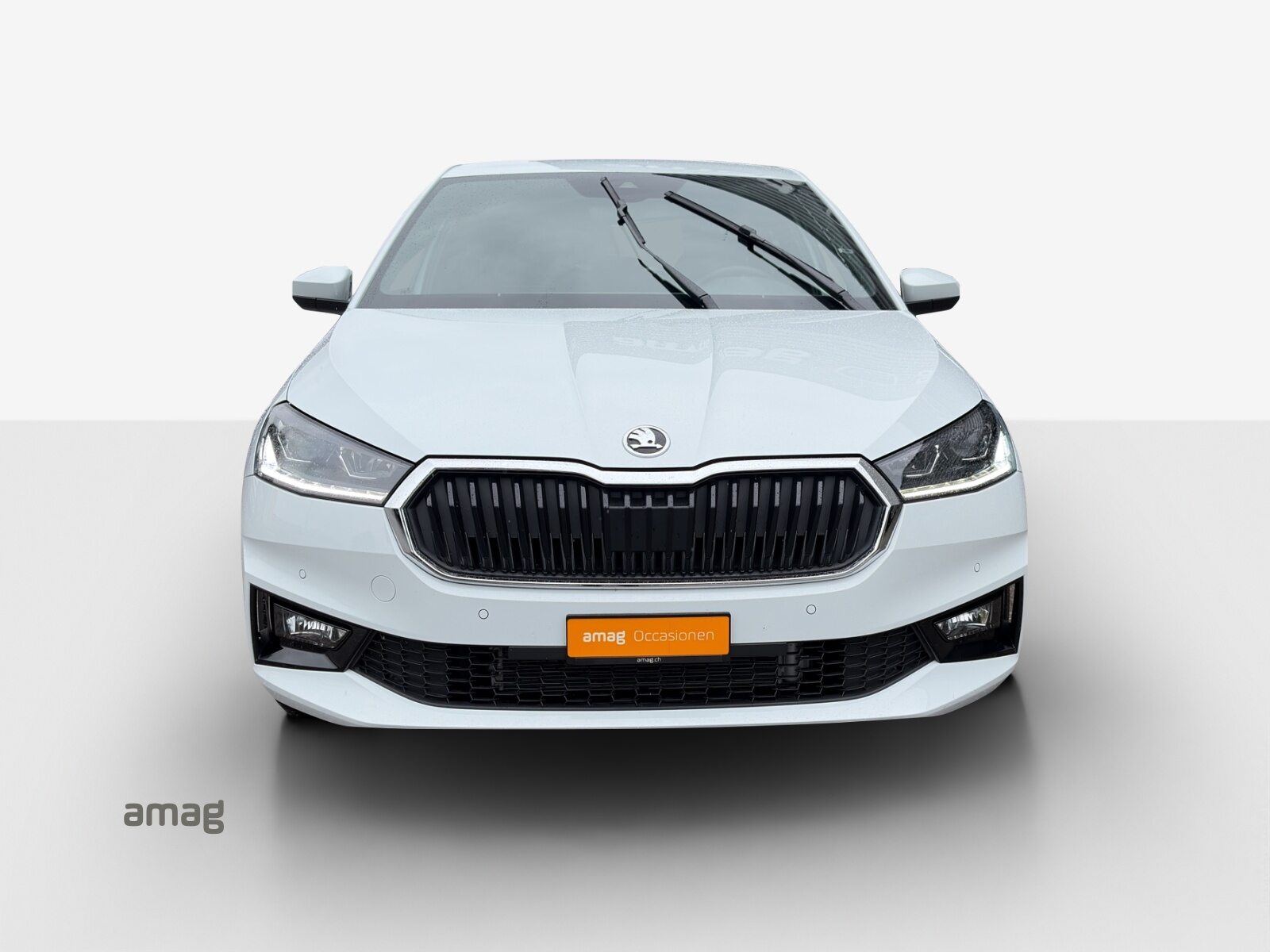 SKODA Fabia Dynamic (Netto), Benzina, Occasioni / Usate, Automatico - 7