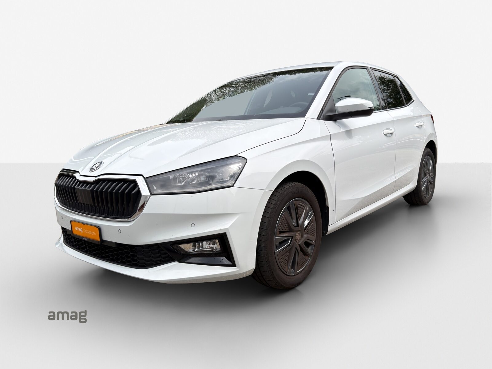 SKODA Fabia Dynamic (Netto)