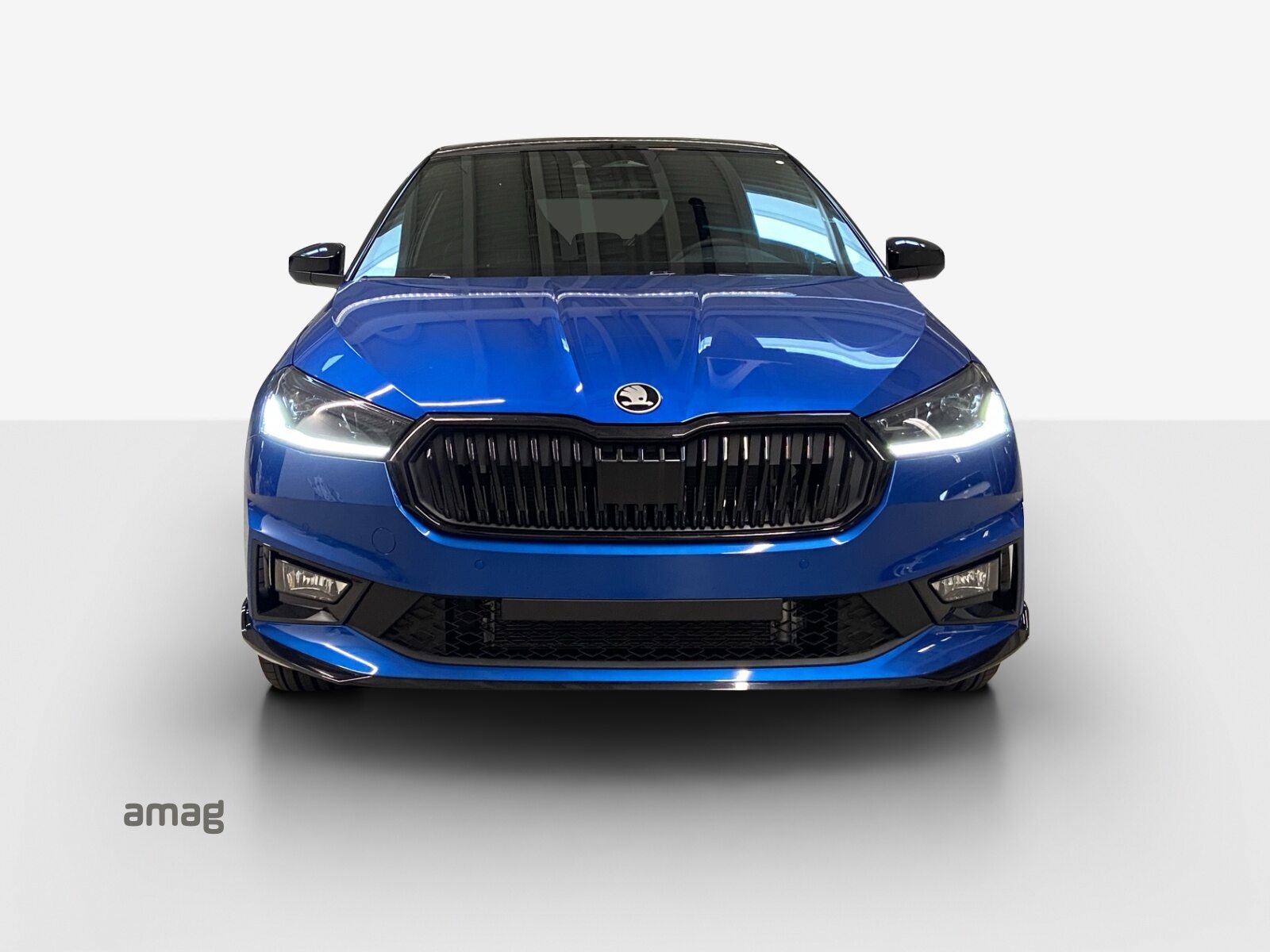 SKODA Fabia 130, Benzina, Occasioni / Usate, Automatico - 7