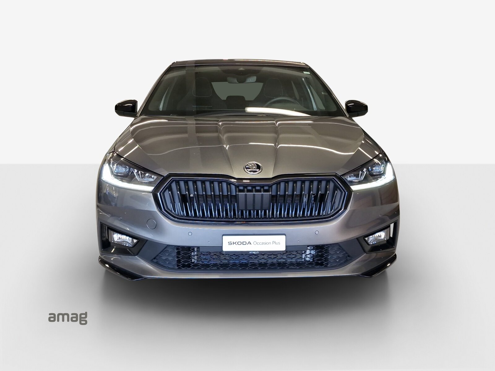 SKODA Fabia Monte Carlo, Benzin, Occasion / Gebraucht, Automatik - 7