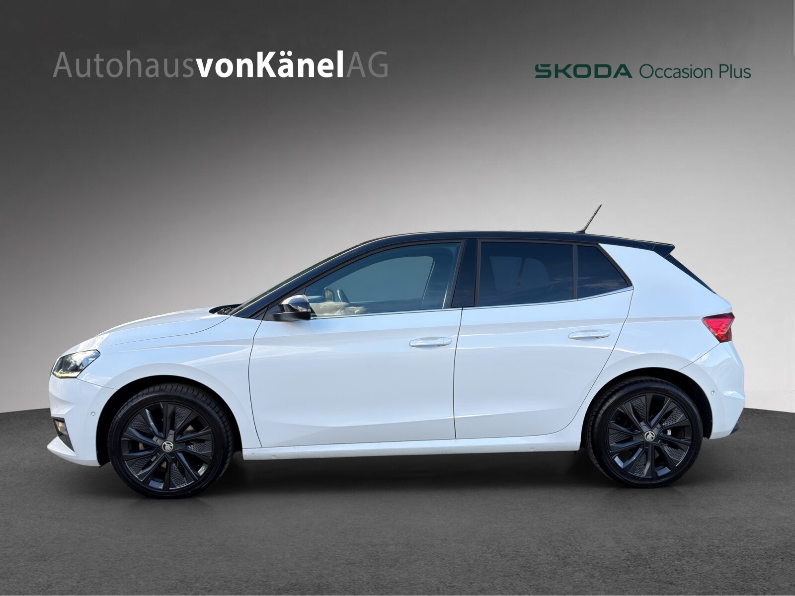 SKODA Fabia Style, Benzina, Occasioni / Usate, Automatico - 2