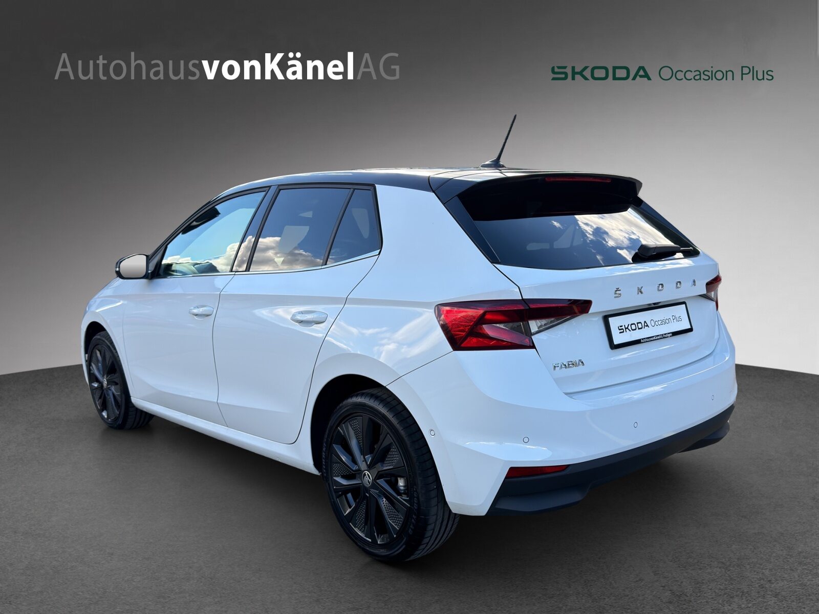SKODA Fabia Style, Benzina, Occasioni / Usate, Automatico - 3