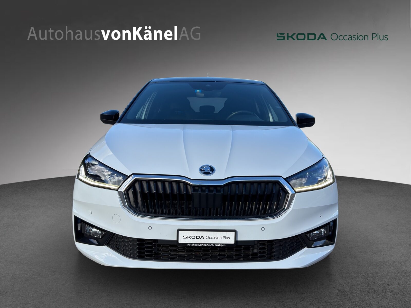 SKODA Fabia Style, Benzina, Occasioni / Usate, Automatico - 4