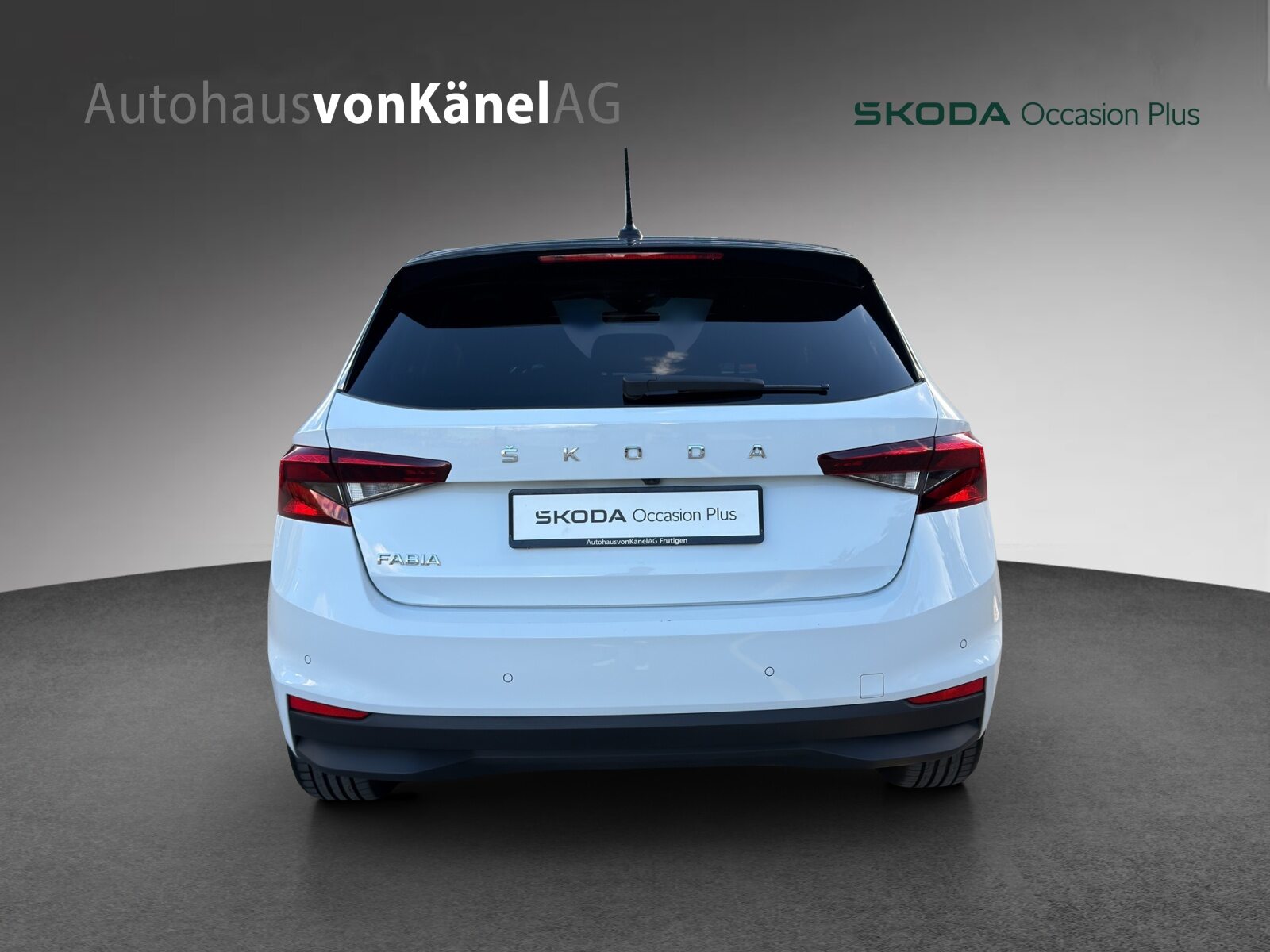 SKODA Fabia Style, Benzina, Occasioni / Usate, Automatico - 5