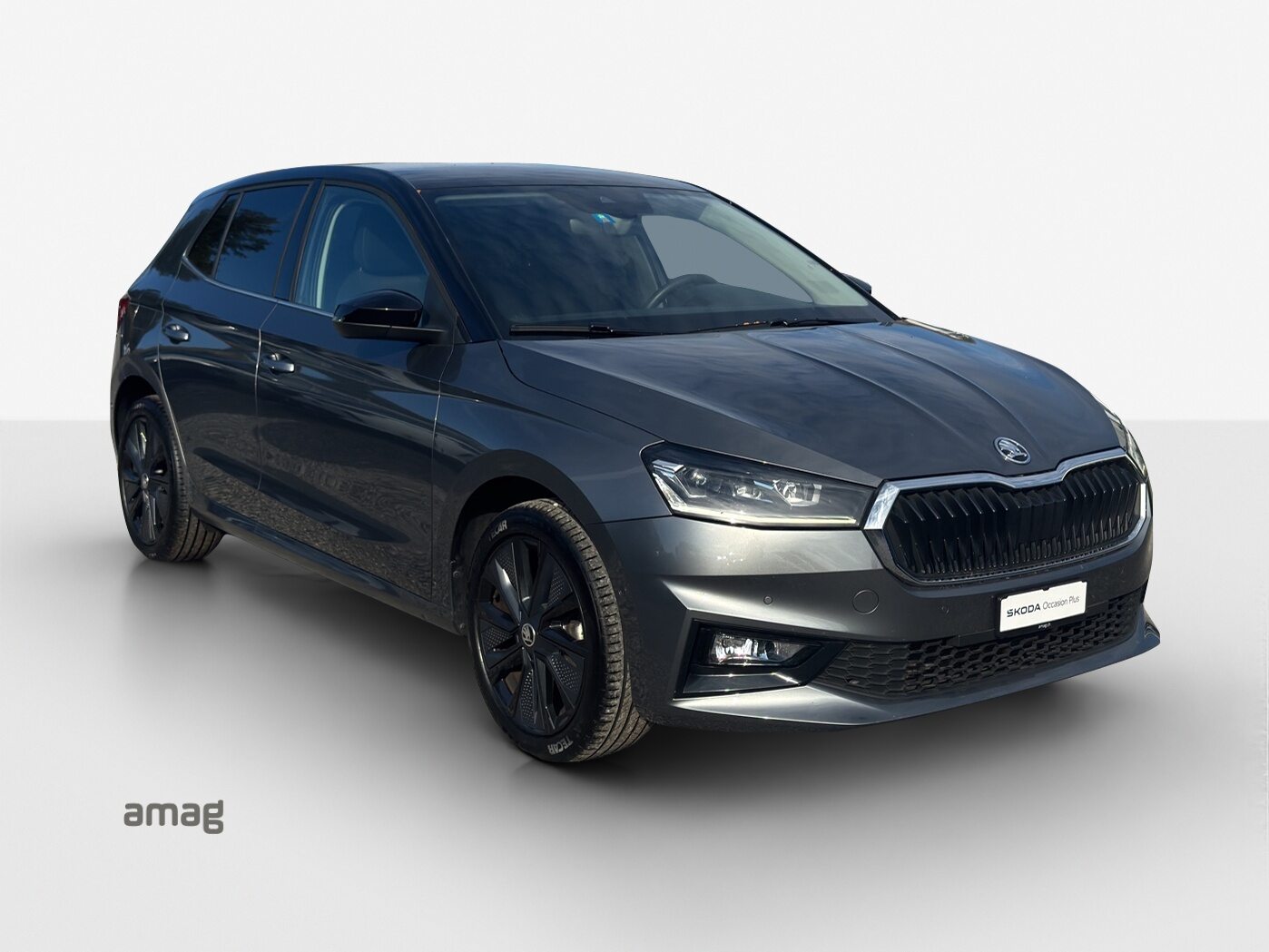 SKODA Fabia Style, Benzina, Occasioni / Usate, Automatico - 6