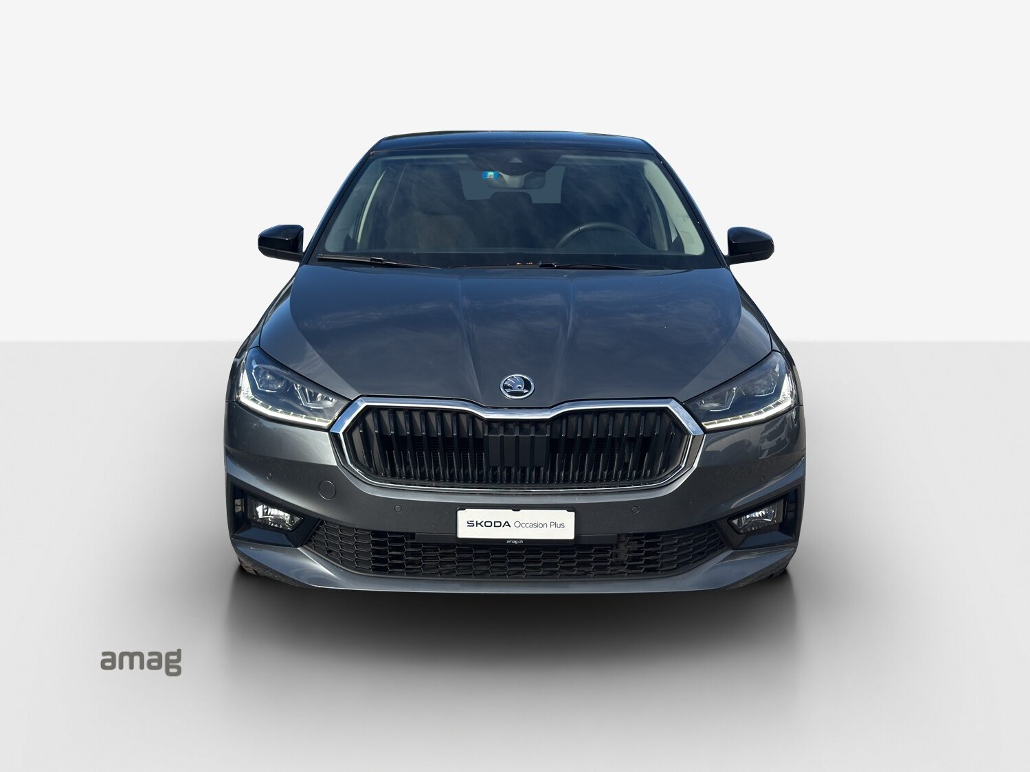 SKODA Fabia Style, Benzina, Occasioni / Usate, Automatico - 7