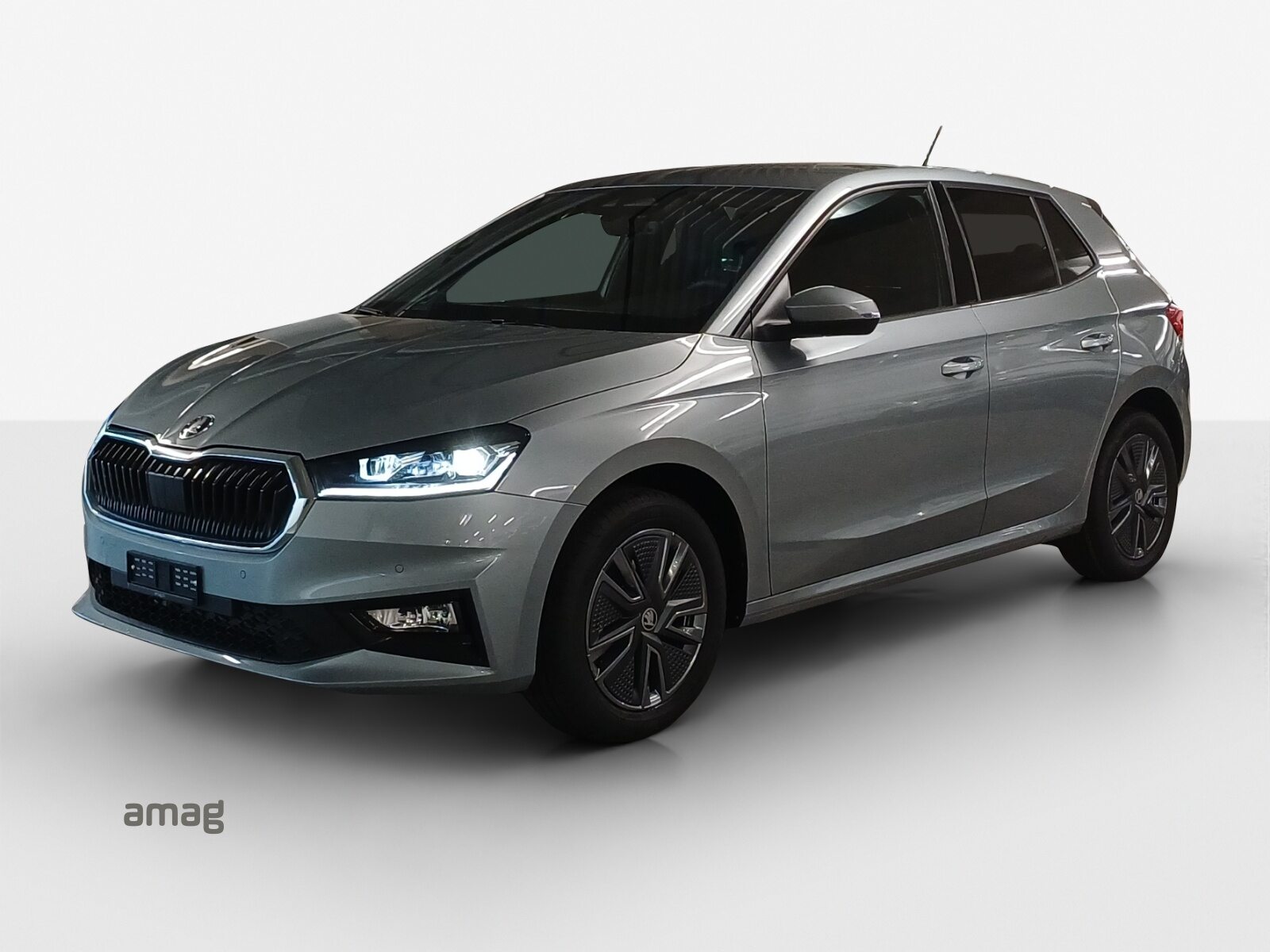 SKODA Fabia Dynamic (Netto)