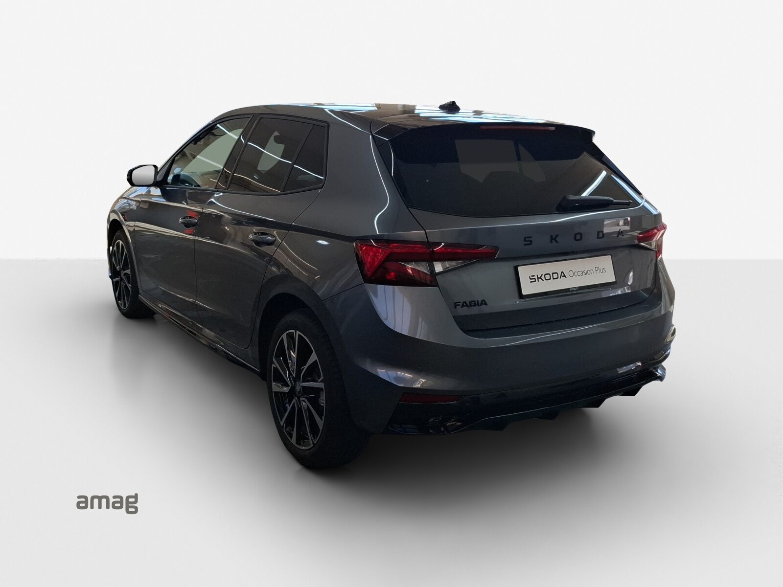 SKODA Fabia Monte Carlo, Benzina, Occasioni / Usate, Automatico - 3