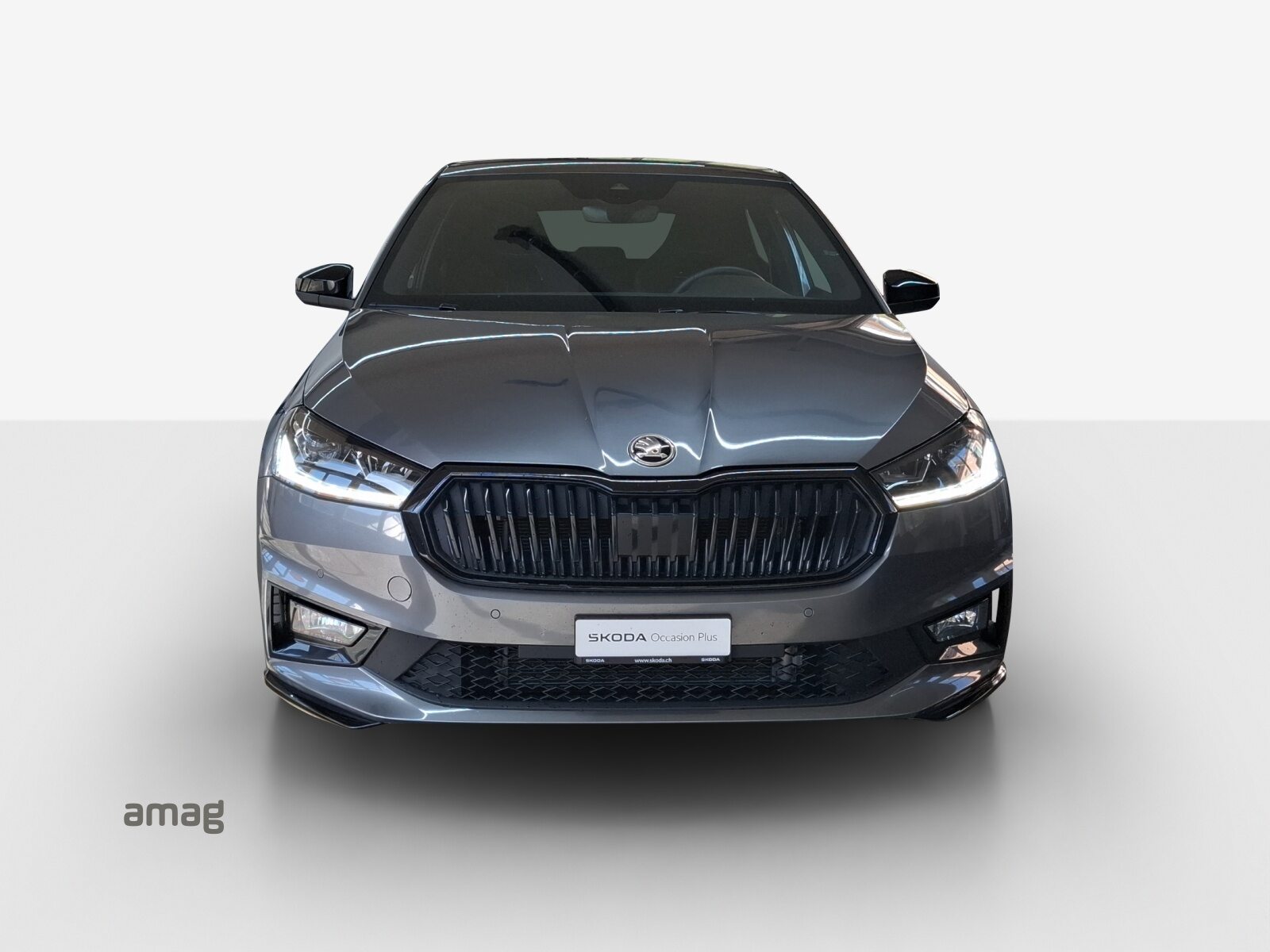 SKODA Fabia Monte Carlo, Benzina, Occasioni / Usate, Automatico - 7