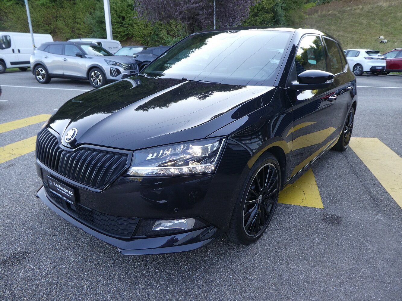 SKODA Fabia 1.0 TSI Monte Carlo, Petrol, Second hand / Used, Manual - 3