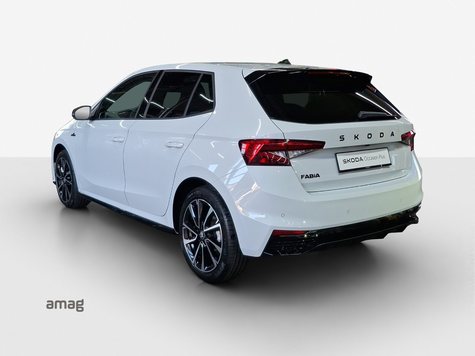 SKODA Fabia Monte Carlo, Benzina, Occasioni / Usate, Automatico - 3
