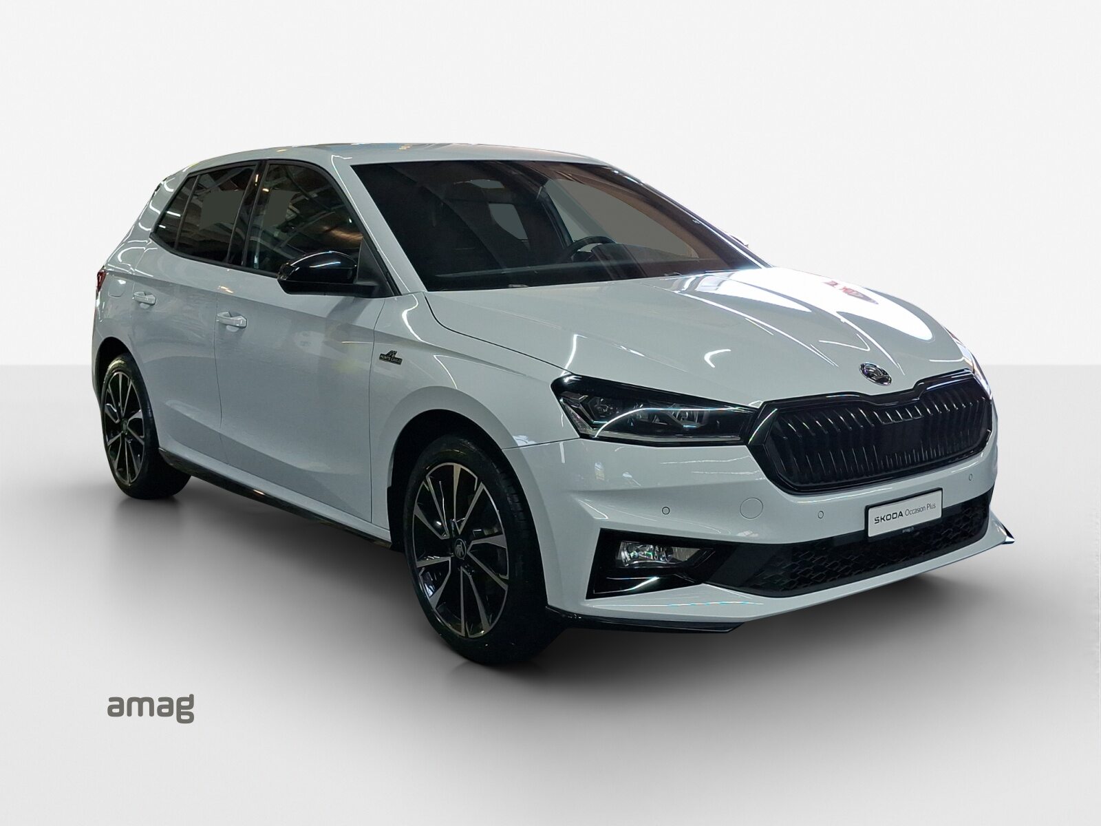 SKODA Fabia Monte Carlo, Benzina, Occasioni / Usate, Automatico - 6